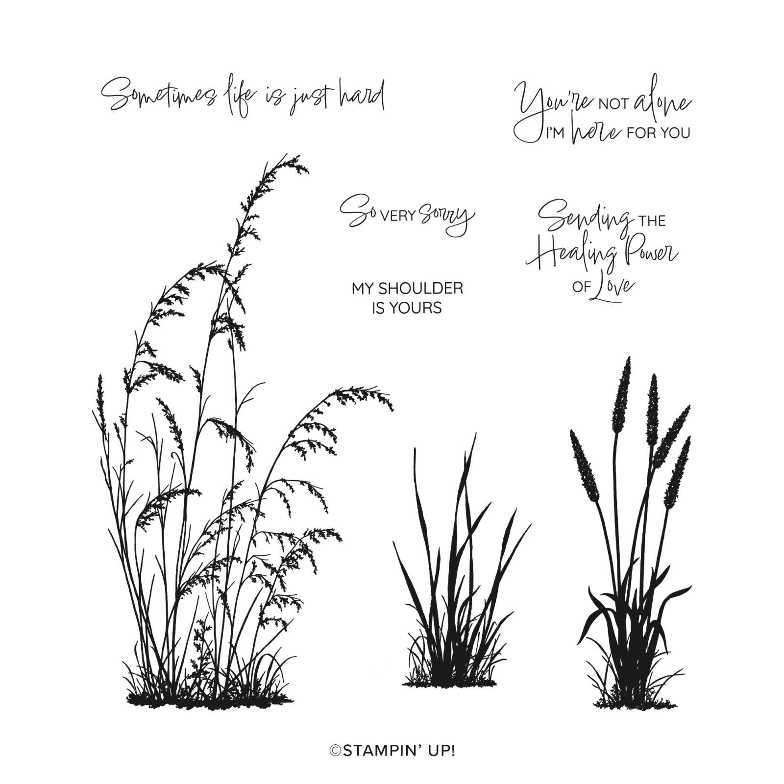 PRAIRIE GRASS CLING STAMP SET (ENGLISH)