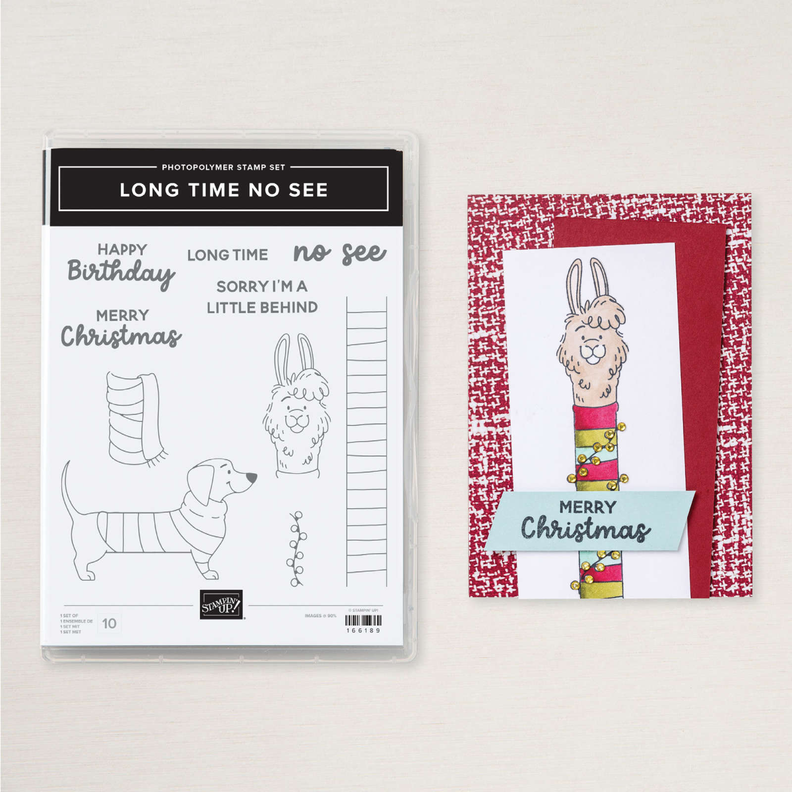 LONG TIME NO SEE PHOTOPOLYMER STAMP SET (ENGLISH)