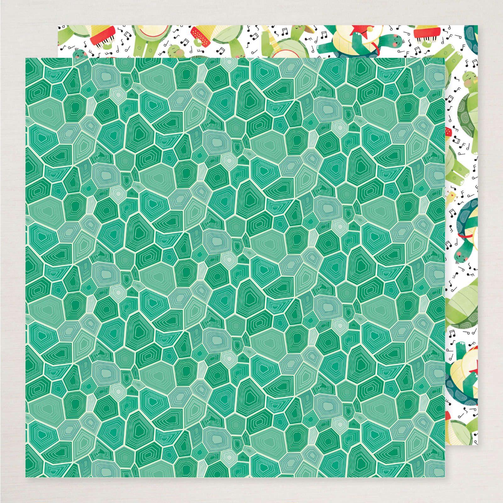 TURTLE-Y CUTE DESIGNER SERIES PAPER & STICKER SHEET (ENGLISH)