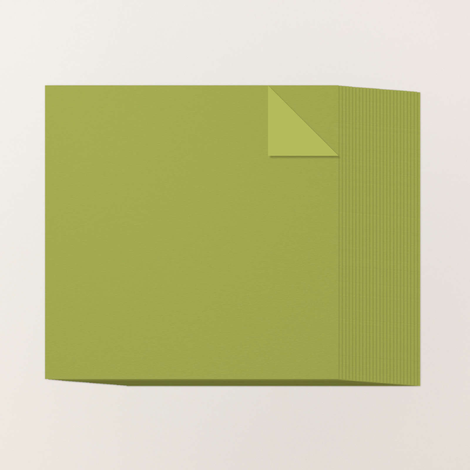 TWEEKLEURIG KAARTKARTON 12" X 12" (30,5 X 30,5 CM) - OLD OLIVE