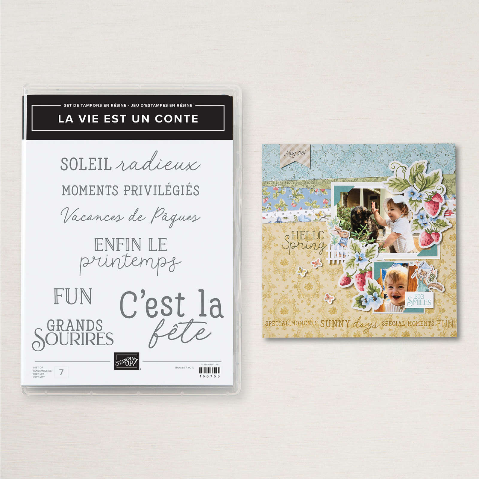 Lot De 6 étuis Transparents Stampin' Up Pour Rangement De Tampons Non Montés - Occasion