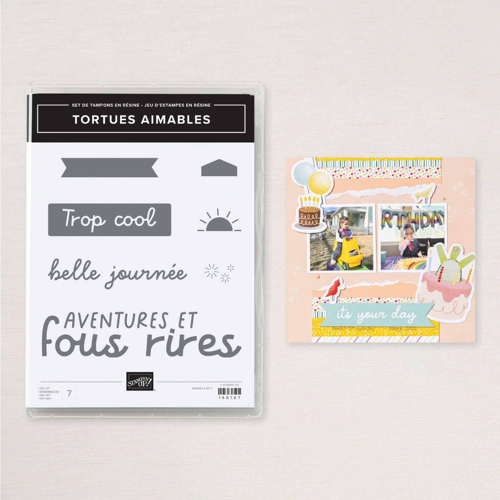 SET DE TAMPONS EN RÉSINE TORTUES AIMABLES (FRANÇAIS)