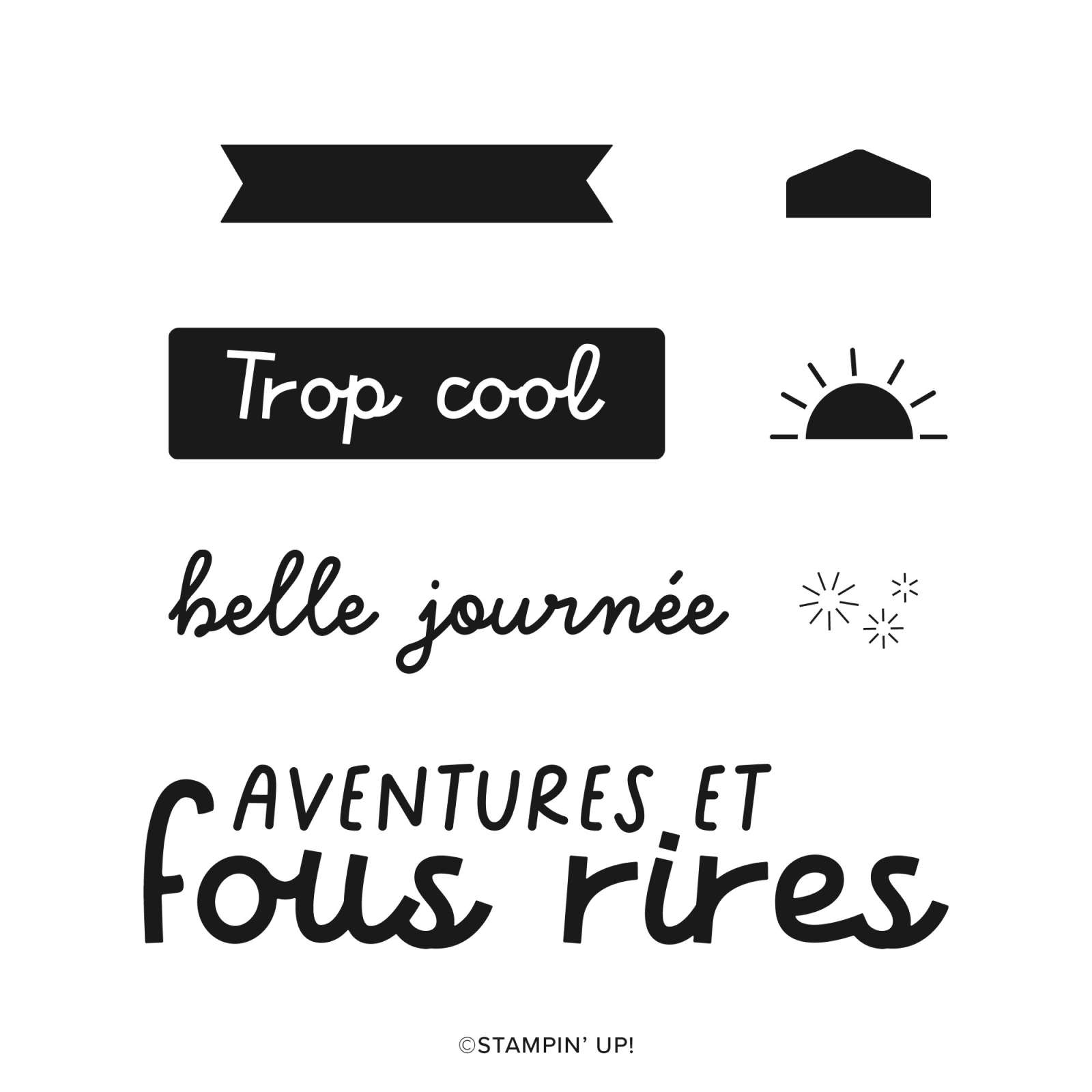 SET DE TAMPONS EN RÉSINE TORTUES AIMABLES (FRANÇAIS)