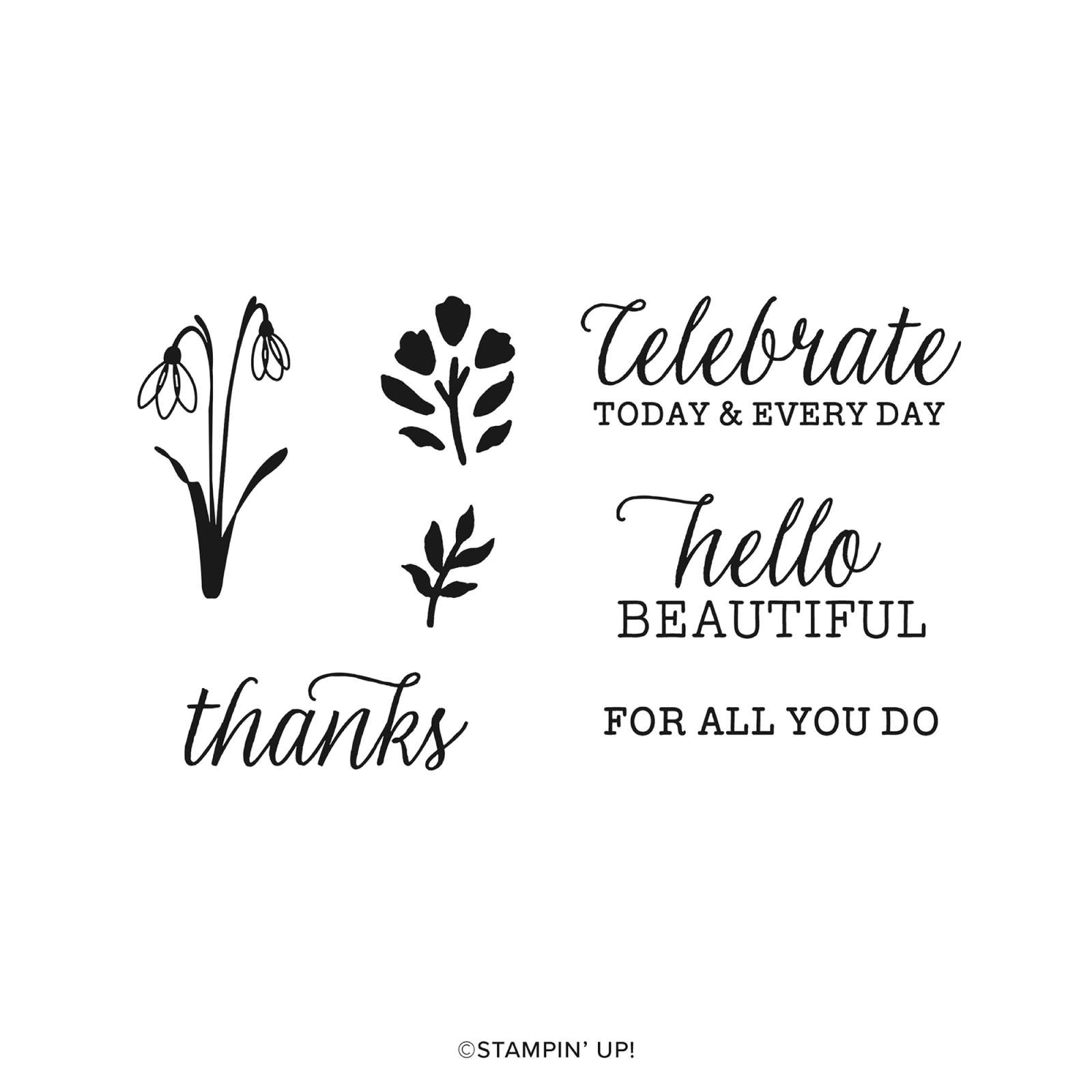 EVERYDAY BEAUTY KIT (ENGLISH)