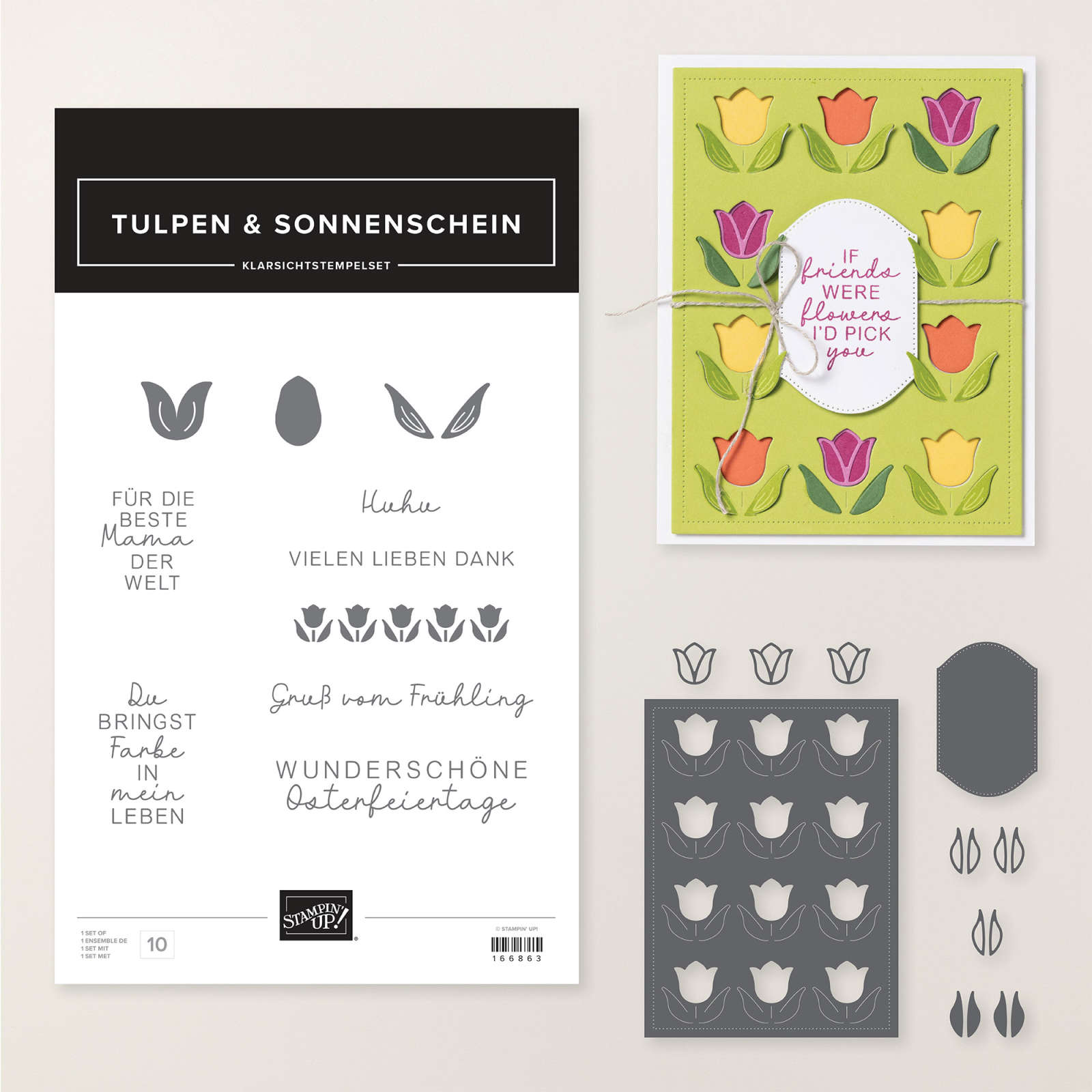 PRODUKTPAKET TULPEN & SONNENSCHEIN (DEUTSCH)