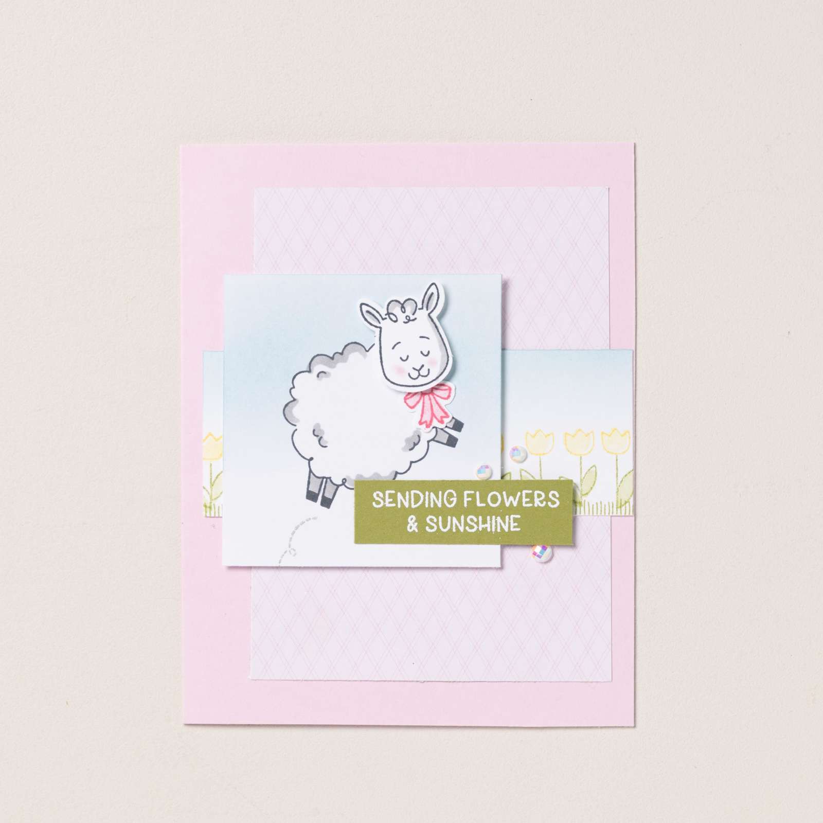 WOOLLY FRIENDS BUNDLE (ENGLISH)