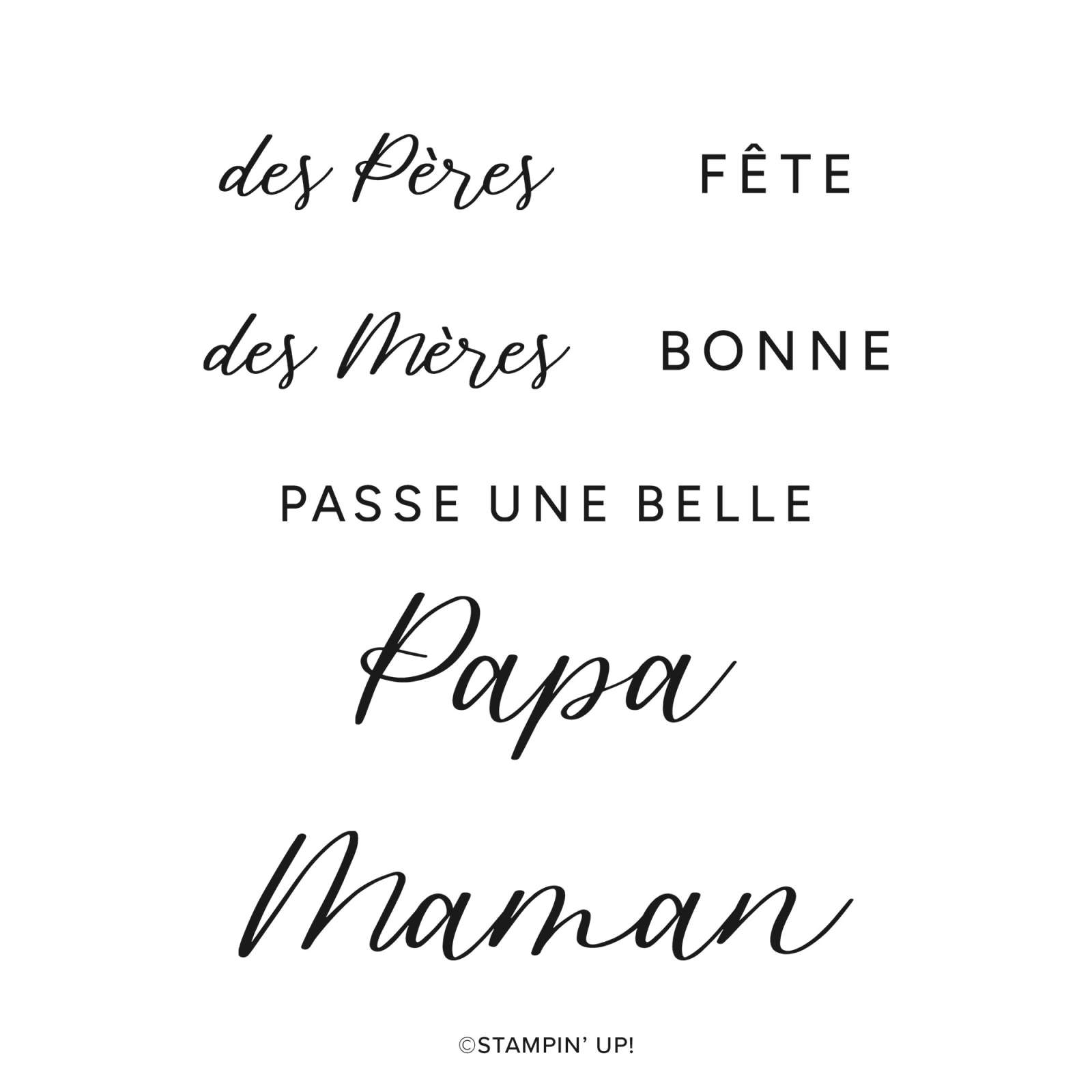 SET DE TAMPONS EN RÉSINE FÊTE EN FAMILLE (FRANÇAIS)