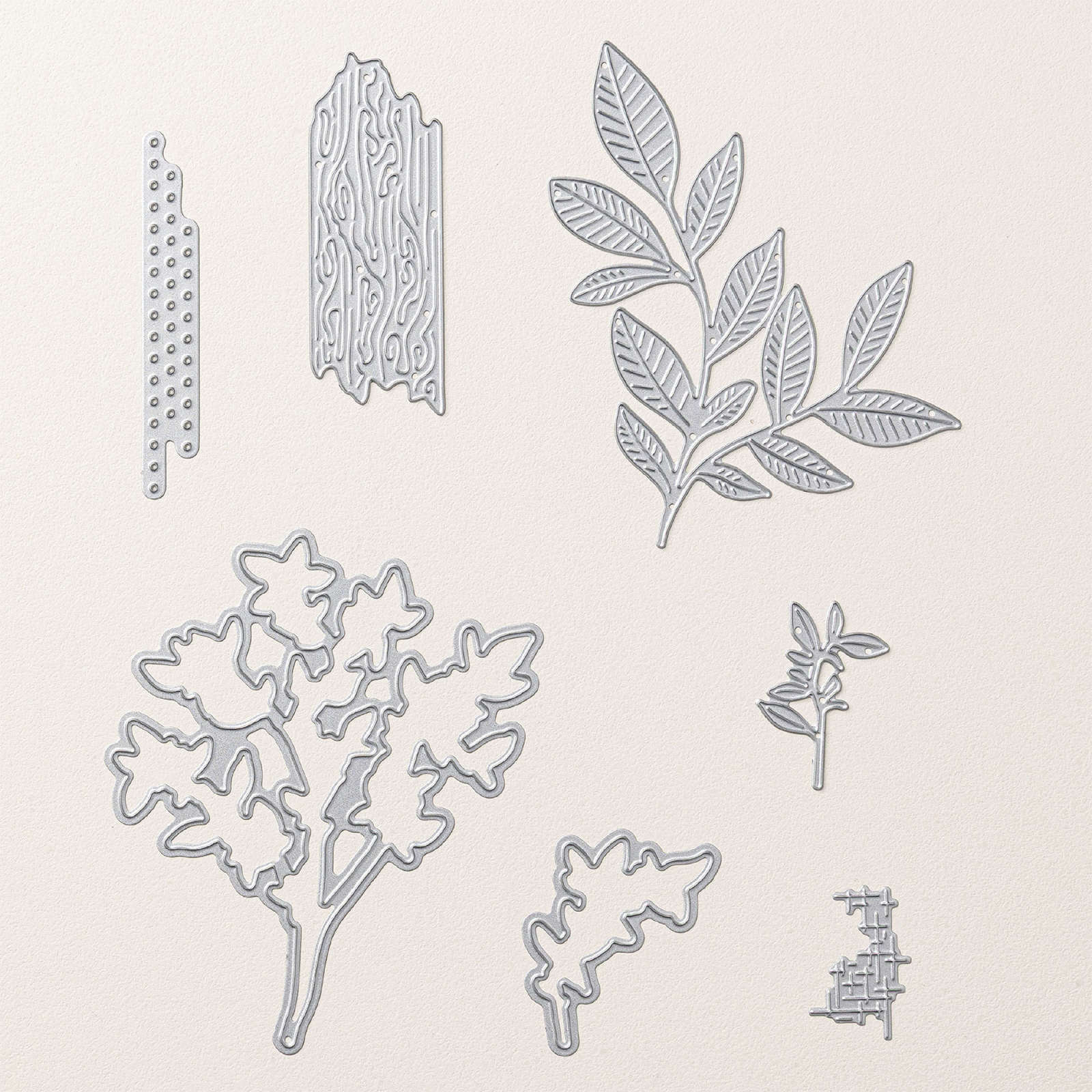 NATURE WALK SUITE COLLECTION (ENGLISH)