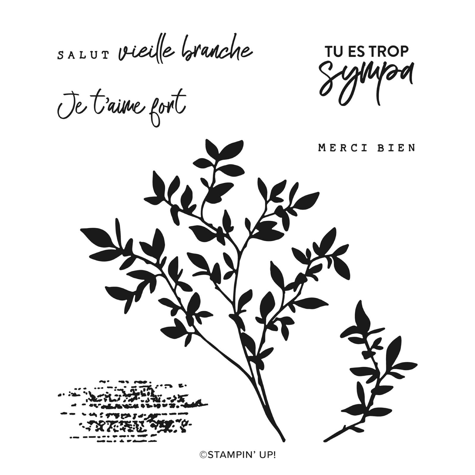 BALADE DANS LA NATURE SUITE COLLECTION (FRENCH)