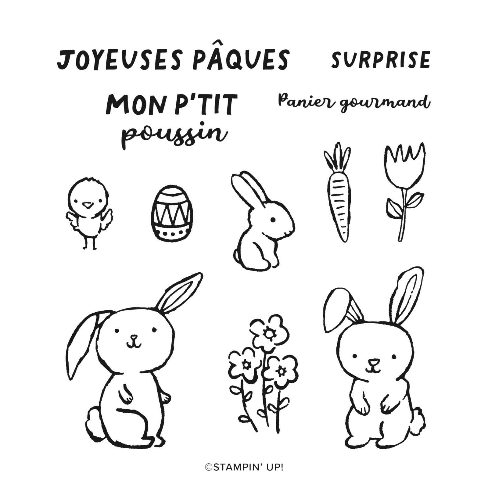 PANIER POUR PÂQUES PHOTOPOLYMER STAMP SET (FRENCH)