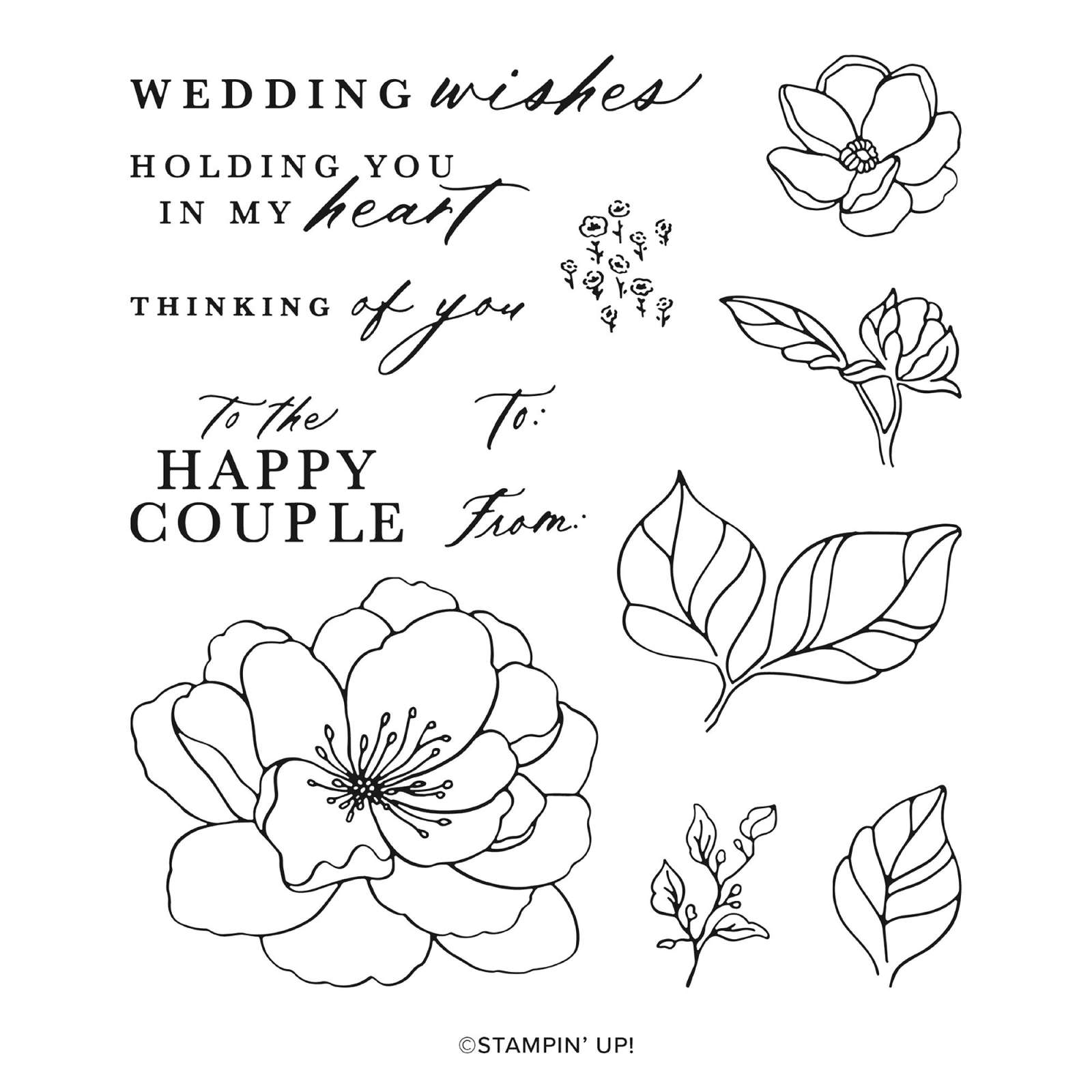 LOVELY & BEAUTIFUL SUITE COLLECTION (ENGLISH)