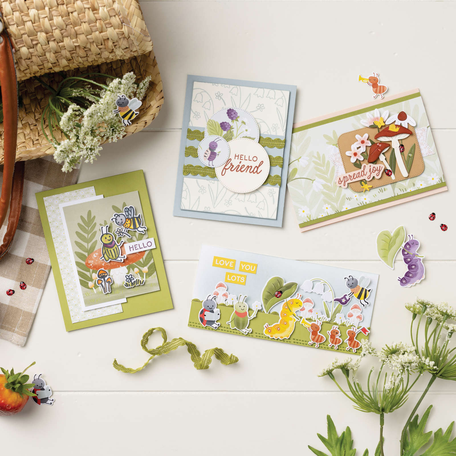 PRODUKTREIHEN-KOLLEKTION KÄFER & CO. (DEUTSCH)