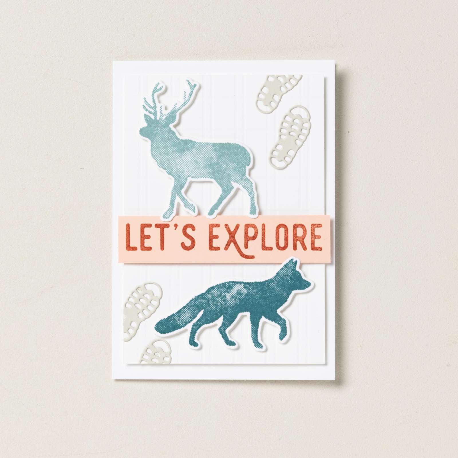 OUTDOOR ADVENTURE DIES