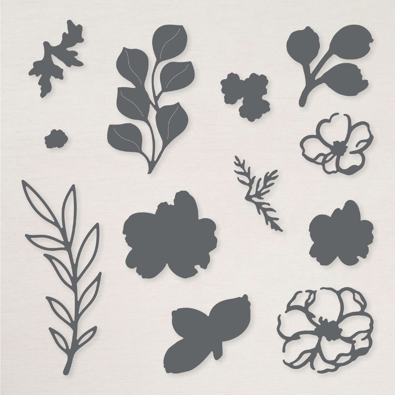 PRODUKTPAKET PETALS OF BEAUTY (ENGLISCH)