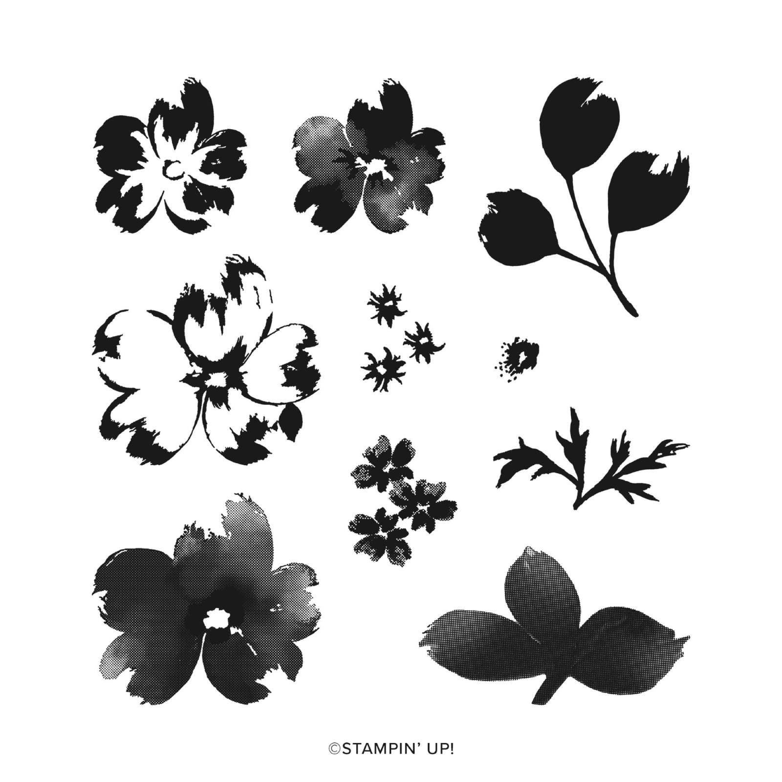 ASSORTIMENT DE COLLECTION BRUSHED WITH BEAUTY (ANGLAIS)