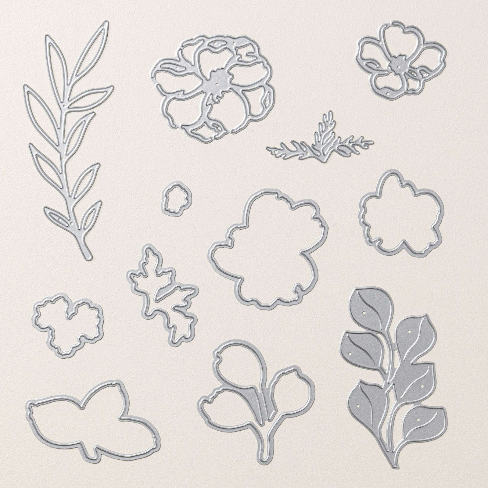 ASSORTIMENT DE COLLECTION BRUSHED WITH BEAUTY (ANGLAIS)