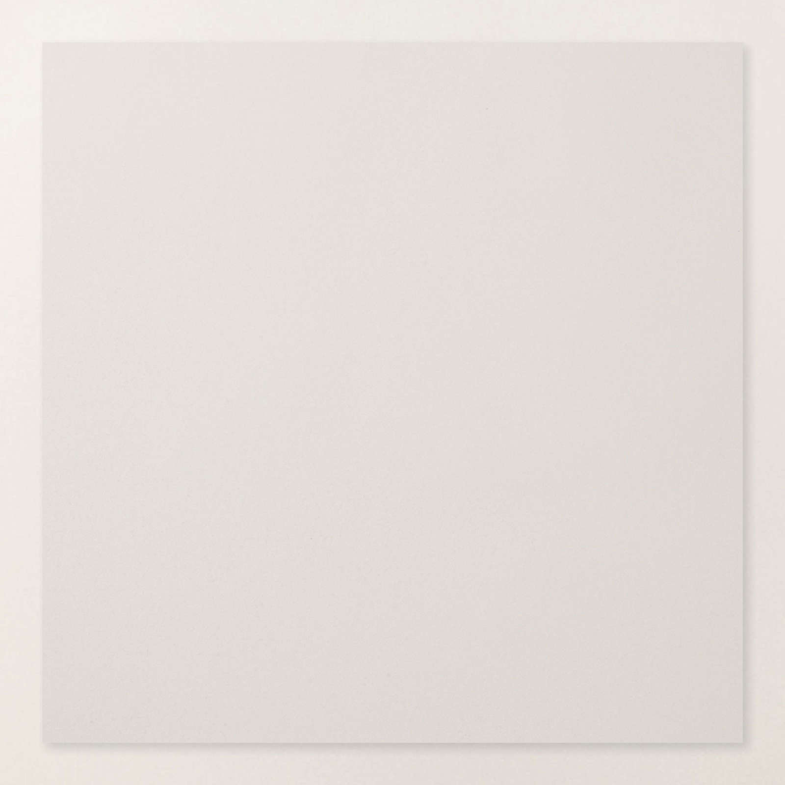 ASSORTIMENT DE COLLECTION BRUSHED WITH BEAUTY (ANGLAIS)