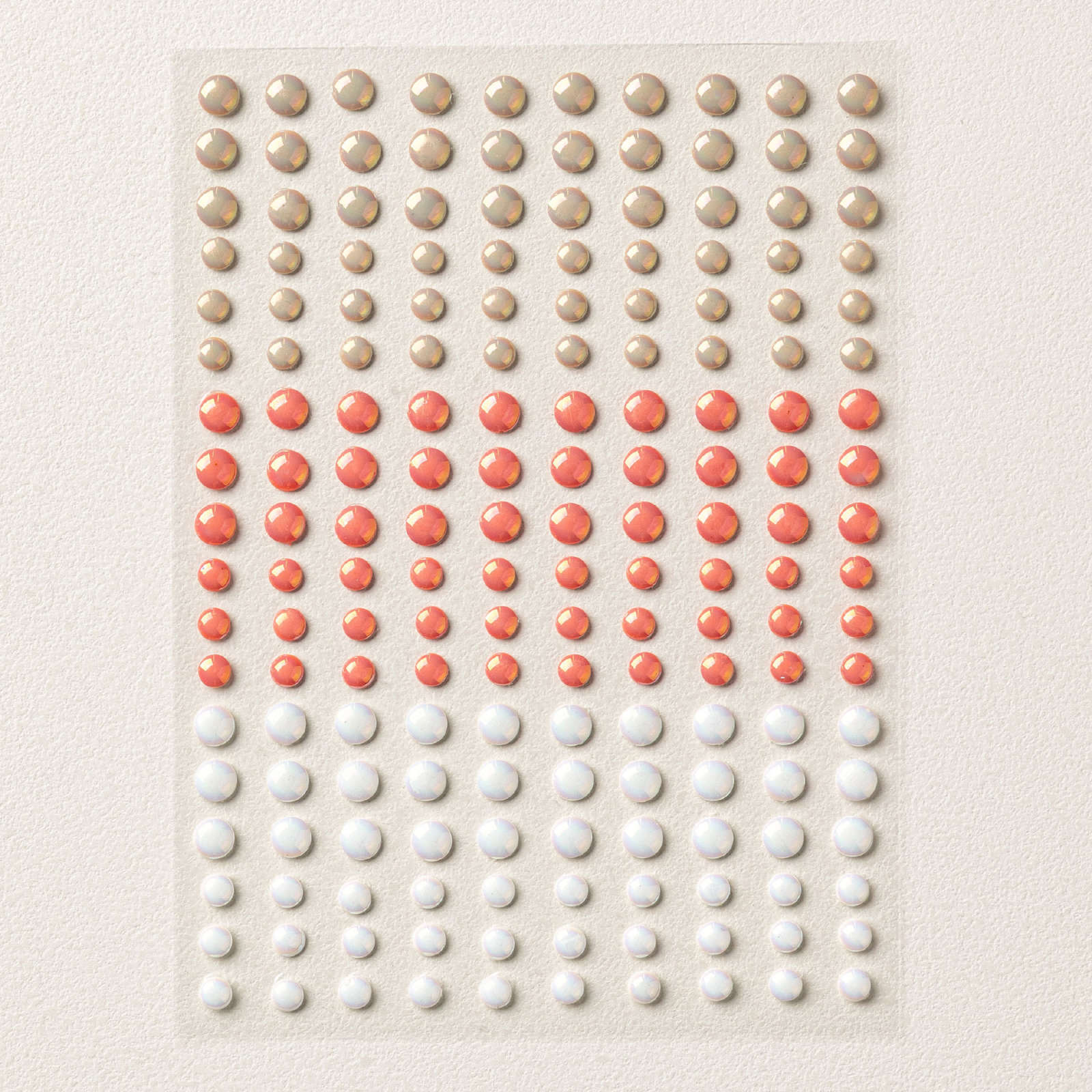 ASSORTIMENT DE COLLECTION BRUSHED WITH BEAUTY (ANGLAIS)