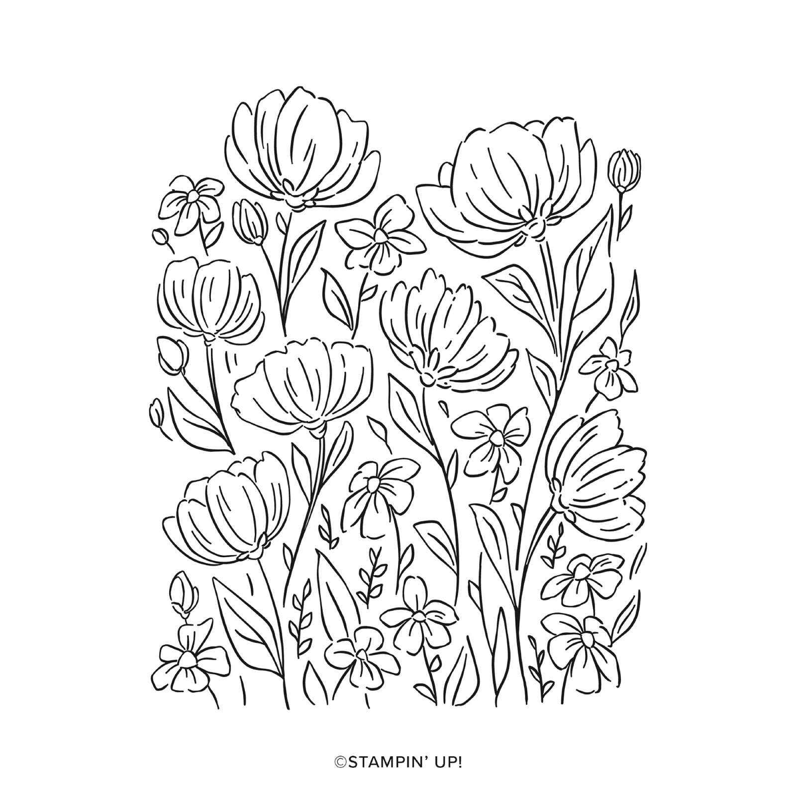 FLOWERS FAIR PHOTOPOLYMER STAMP SET