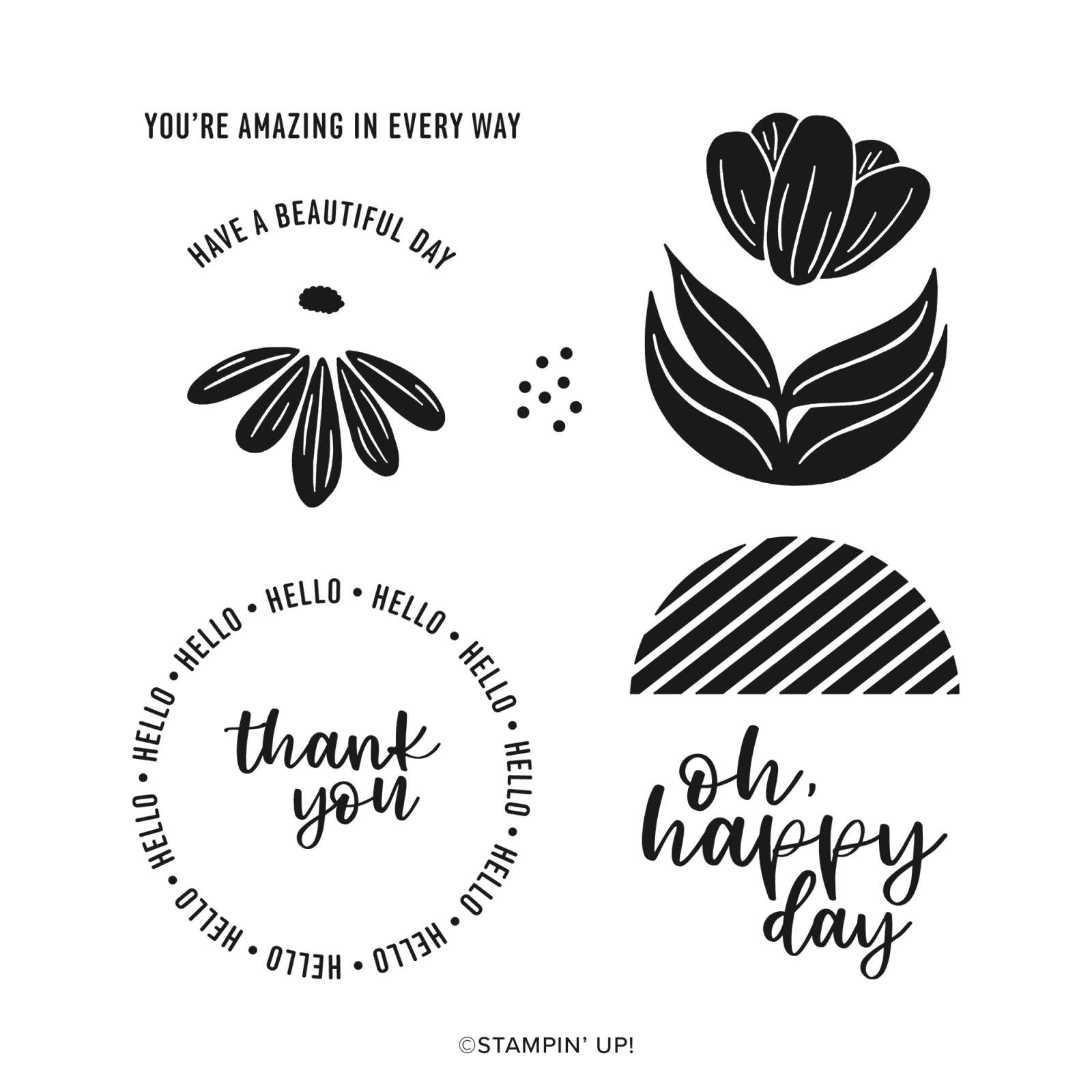 A ROUND OF HELLOS PHOTOPOLYMER STAMP SET (ENGLISH)