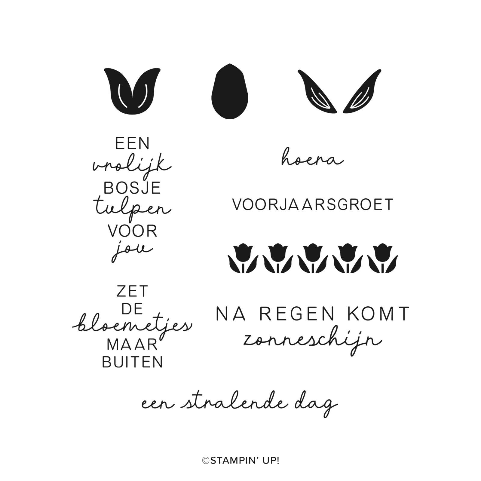 FOTOPOLYMEERSTEMPELSET ZONNIGE TULPEN (NEDERLANDS)