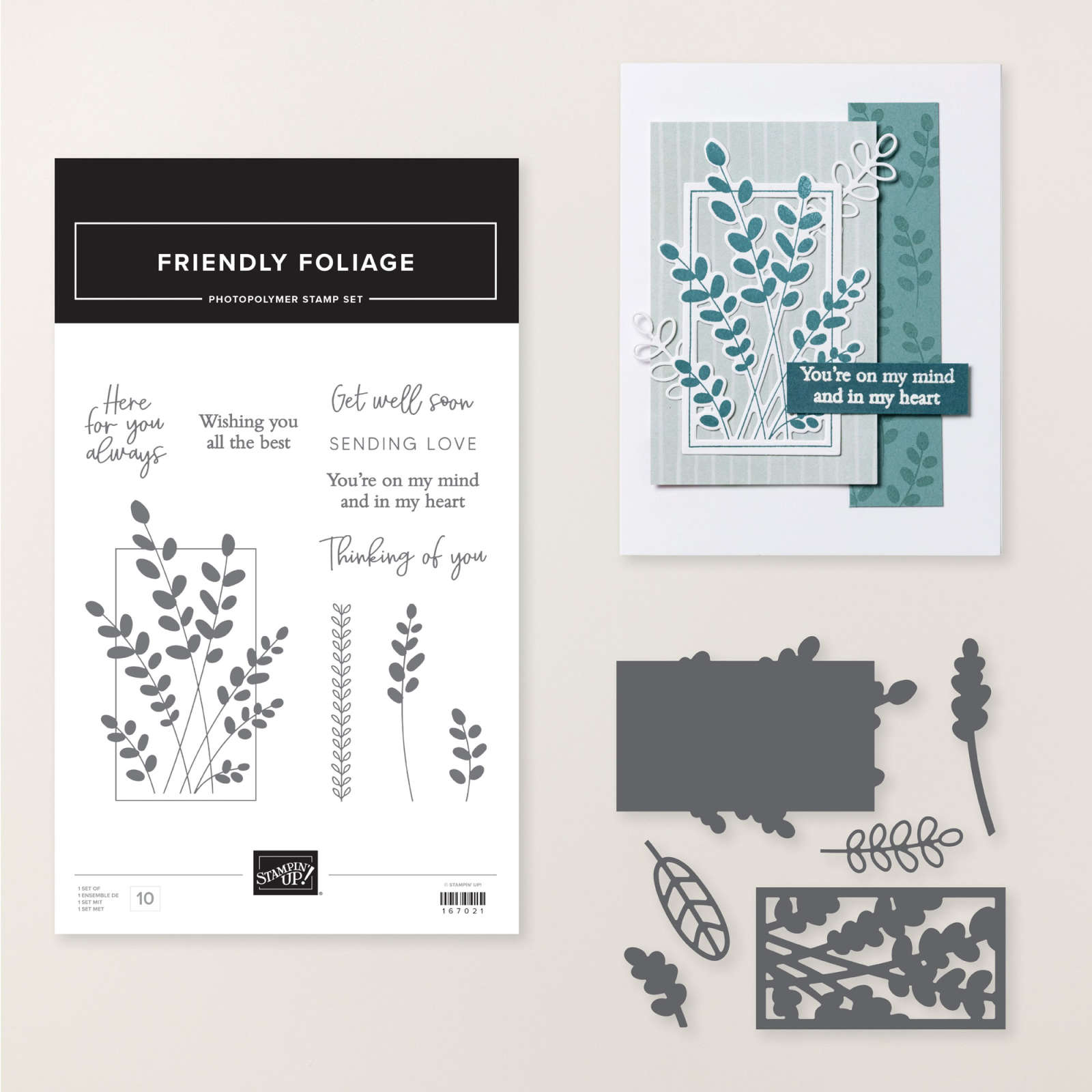 PRODUKTPAKET FRIENDLY FOLIAGE (ENGLISCH)