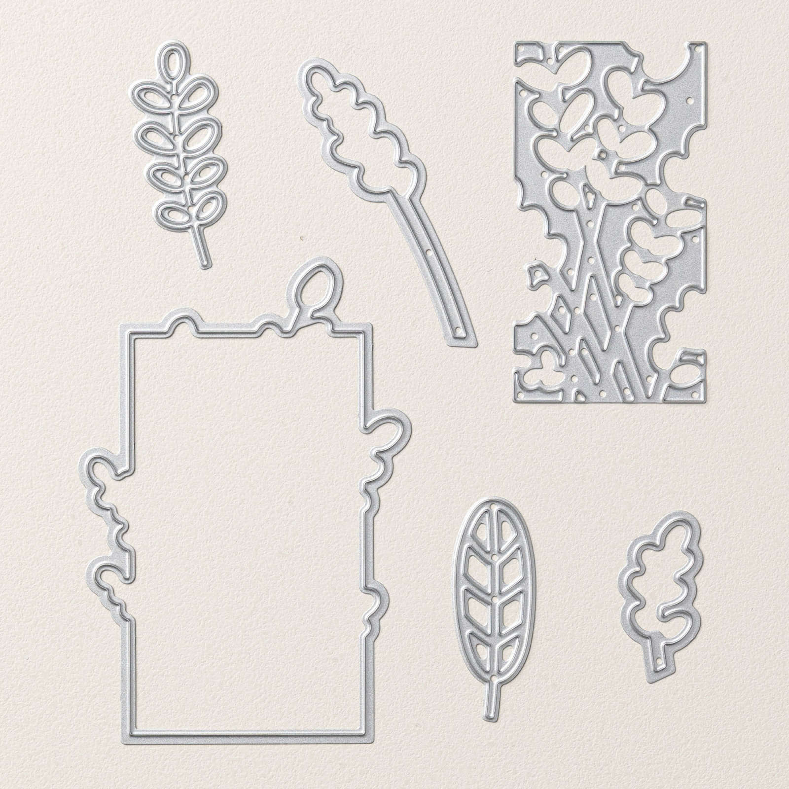 PRODUKTPAKET FRIENDLY FOLIAGE (ENGLISCH)