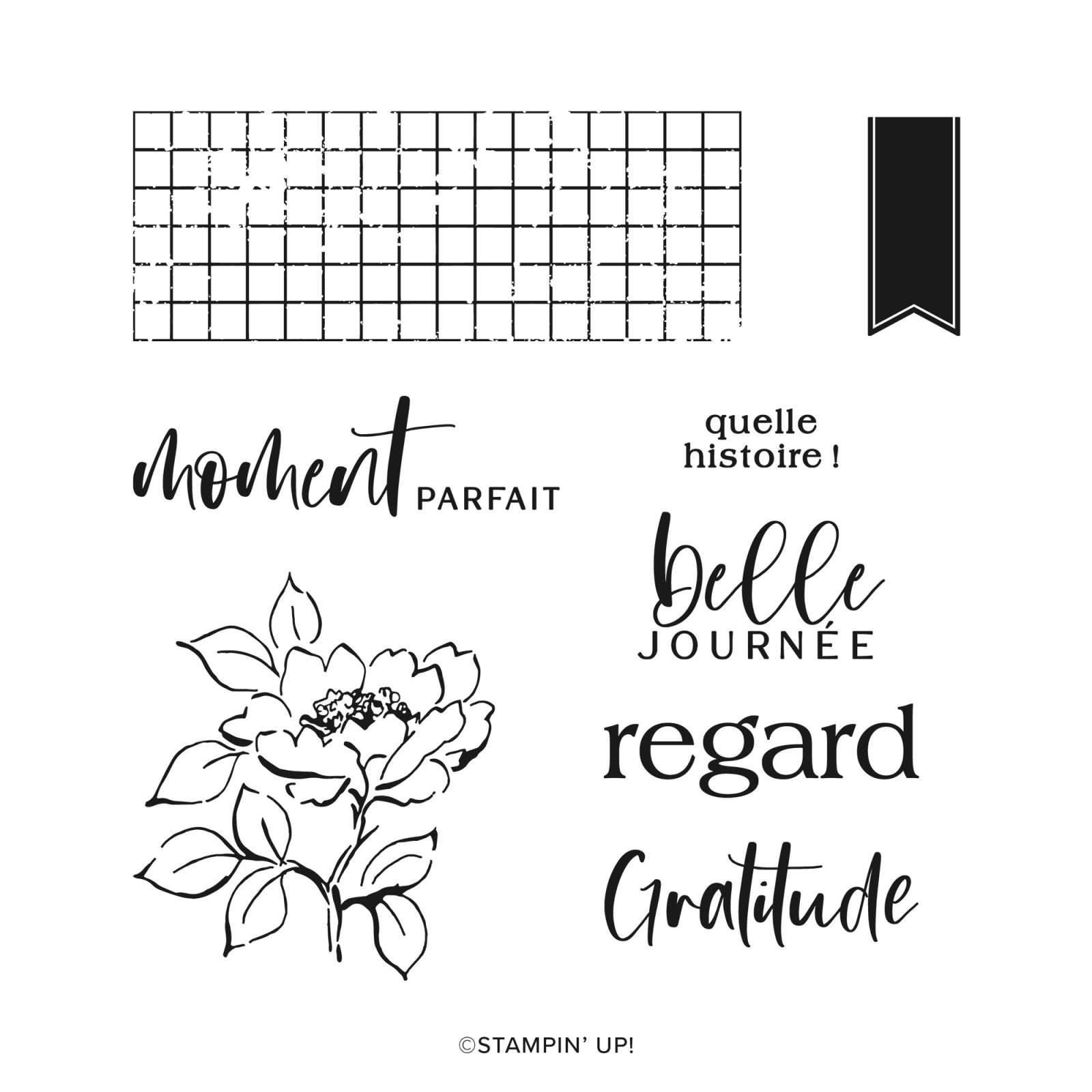 SET DE TAMPONS EN RÉSINE FLEURS AGRÉABLES (FRANÇAIS)