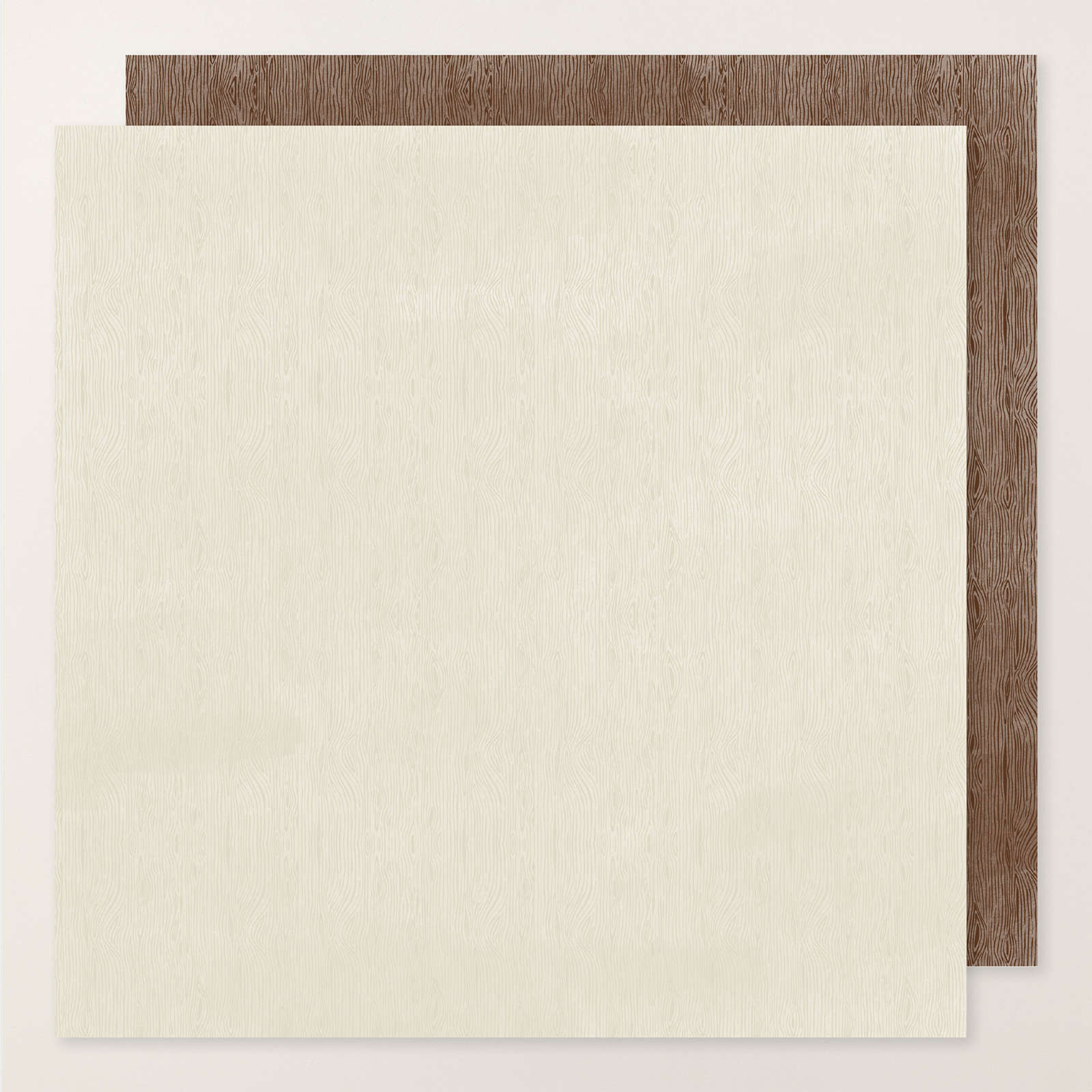 WOOD GRAIN WONDERS 12" X 12" (30.5 X 30.5 CM) DESIGNER SERIES PAPER