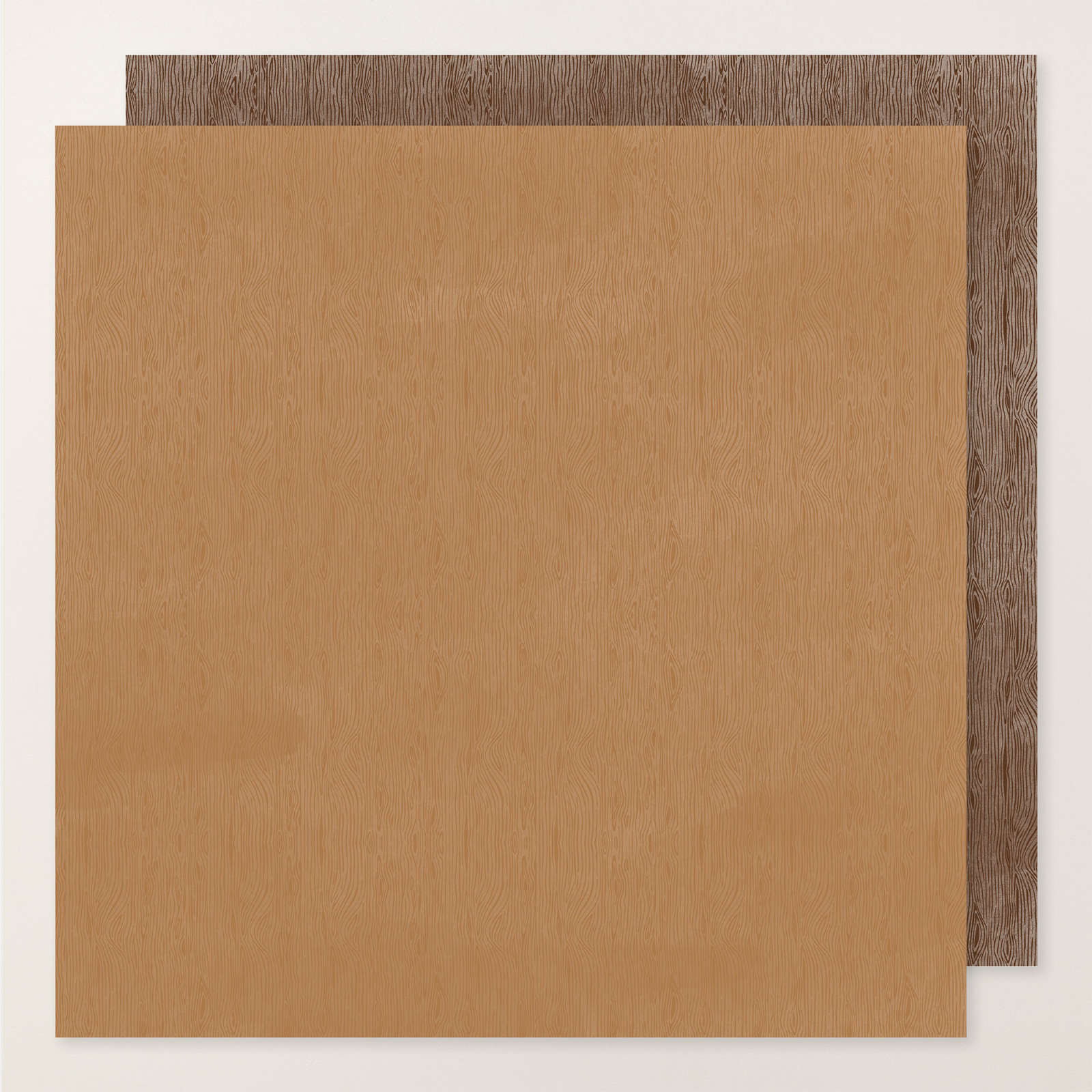 WOOD GRAIN WONDERS 12" X 12" (30.5 X 30.5 CM) DESIGNER SERIES PAPER