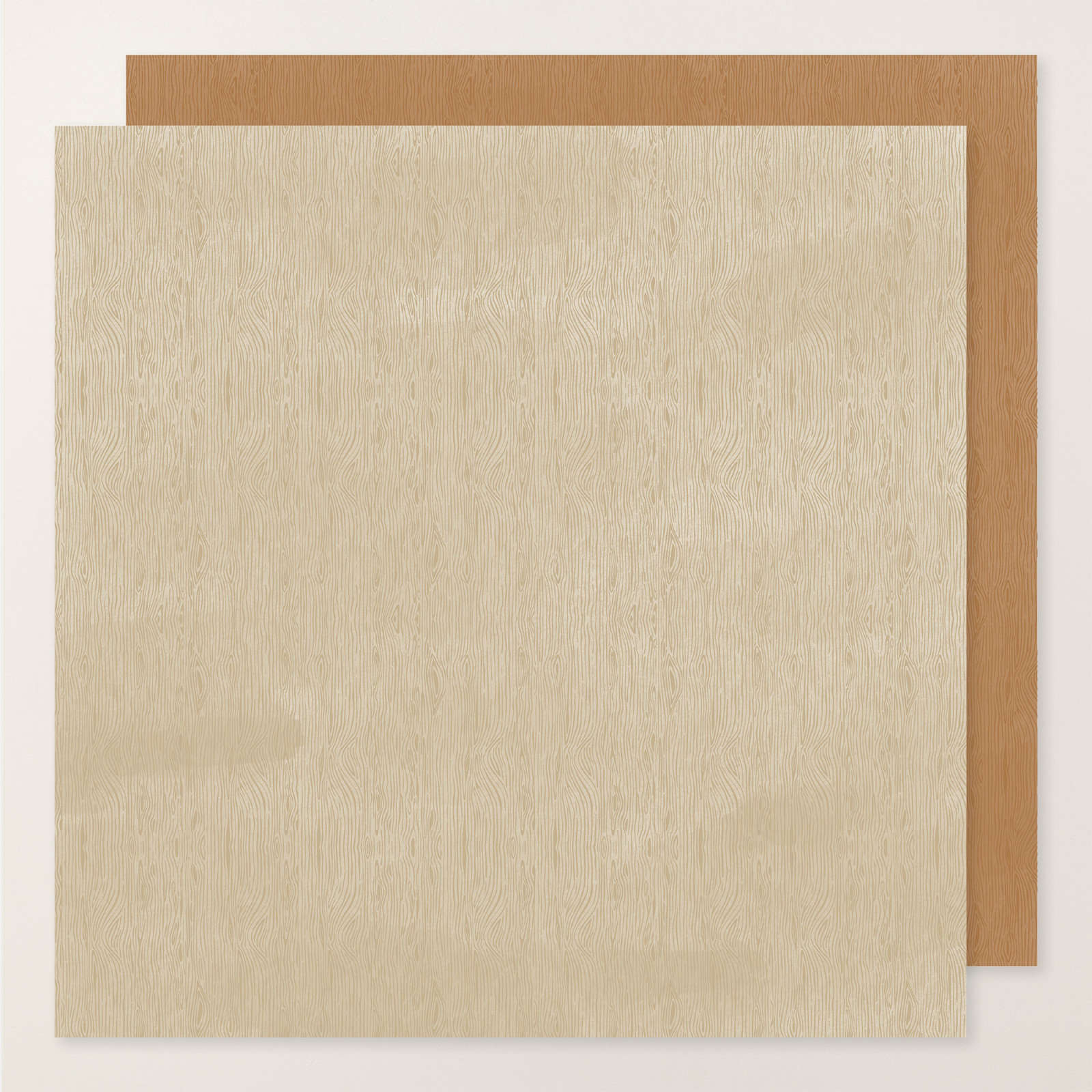 WOOD GRAIN WONDERS 12" X 12" (30.5 X 30.5 CM) DESIGNER SERIES PAPER