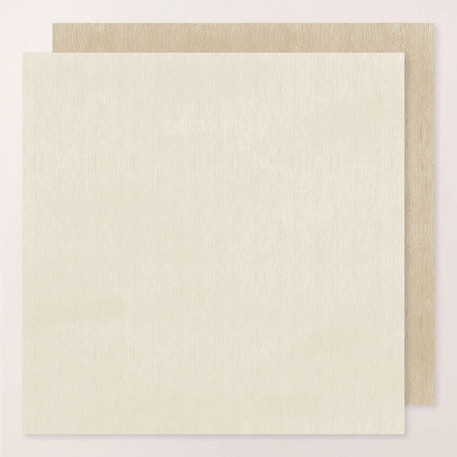 WOOD GRAIN WONDERS 12" X 12" (30.5 X 30.5 CM) DESIGNER SERIES PAPER