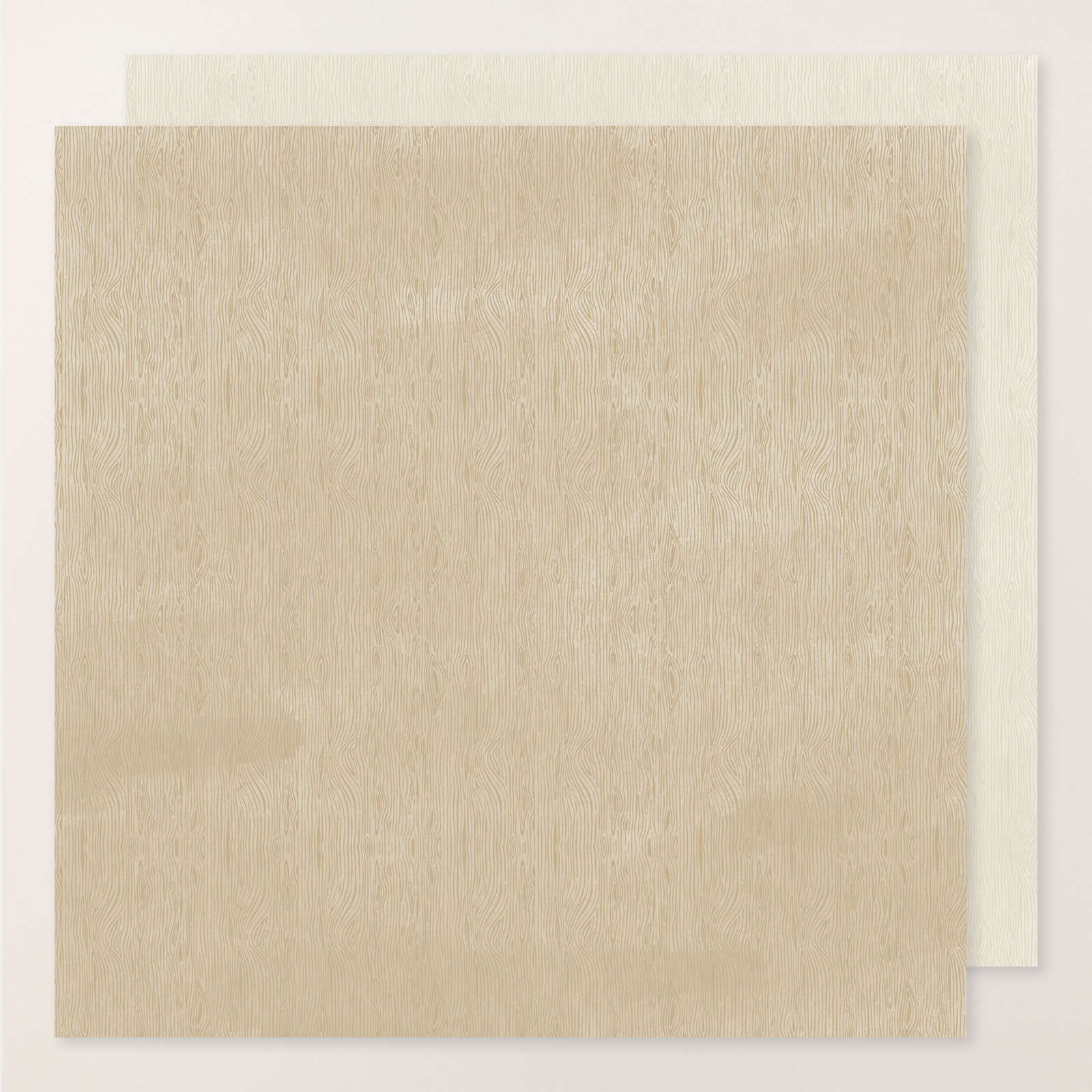 WOOD GRAIN WONDERS 12" X 12" (30.5 X 30.5 CM) DESIGNER SERIES PAPER