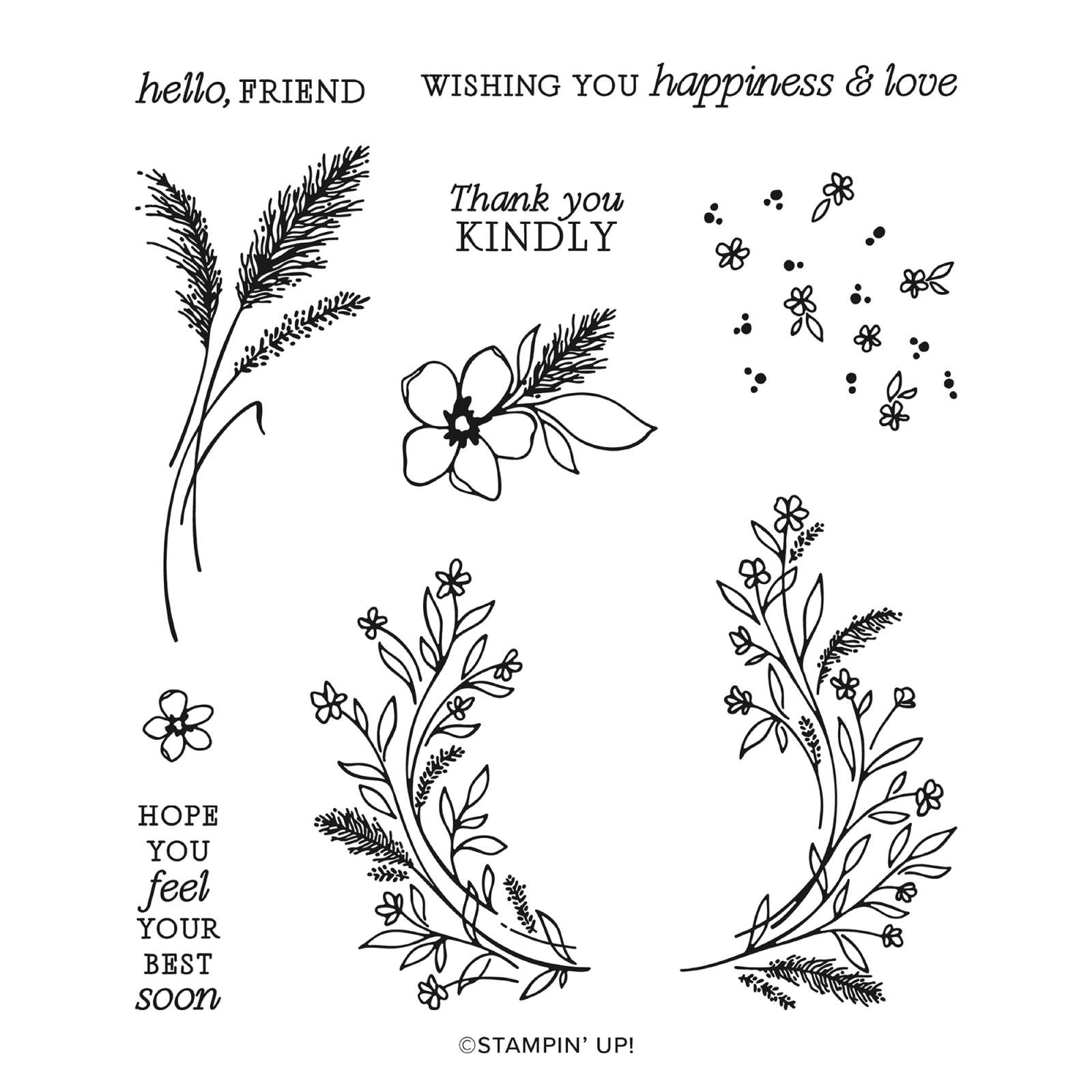 DELICATE WHISPERS PHOTOPOLYMER STAMP SET (ENGLISH)