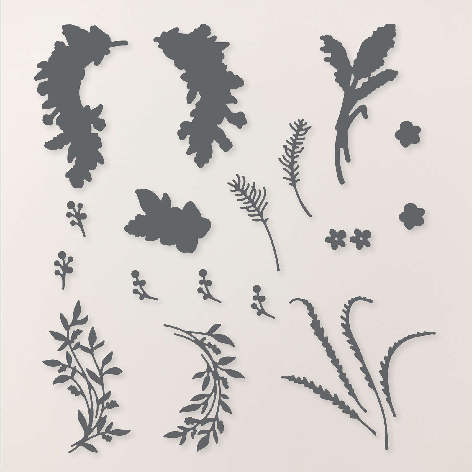 DELICATE WHISPERS DIES