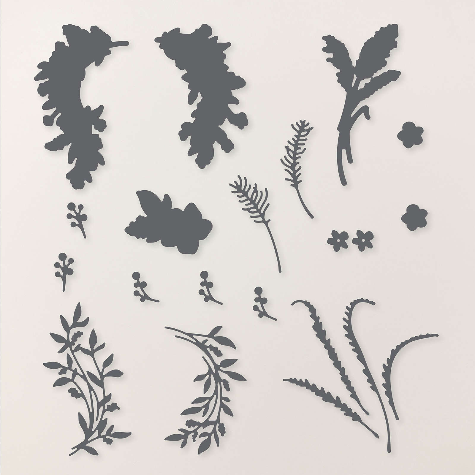 DELICATE DREAMS SUITE COLLECTION (ENGLISH)