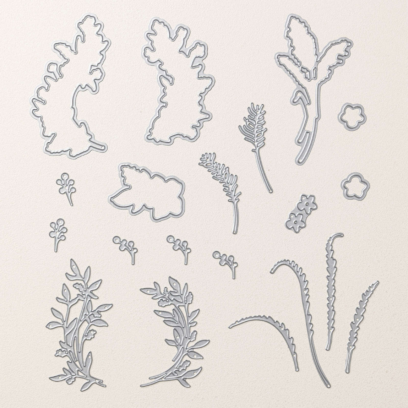 DELICATE DREAMS SUITE COLLECTION (ENGLISH)