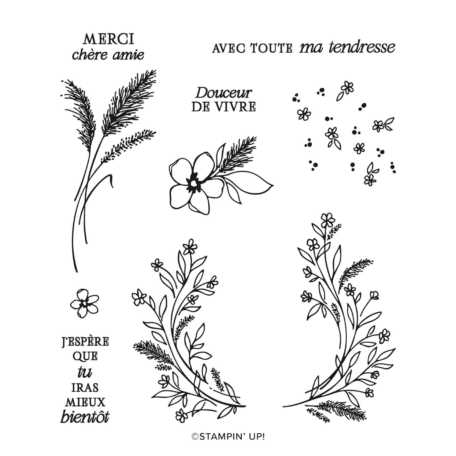 RÊVES DÉLICATS SUITE COLLECTION (FRENCH)