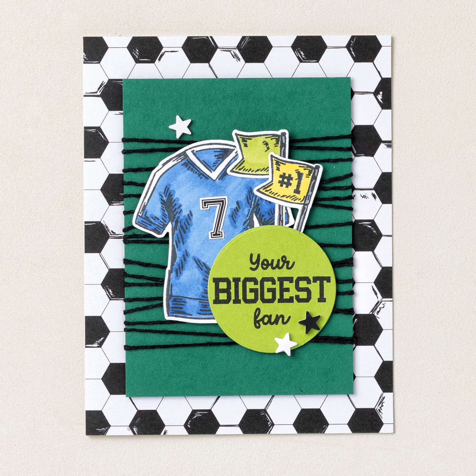 A WONDERFUL MATCH 12" X 12" (30.5 X 30.5 CM) DESIGNER SERIES PAPER