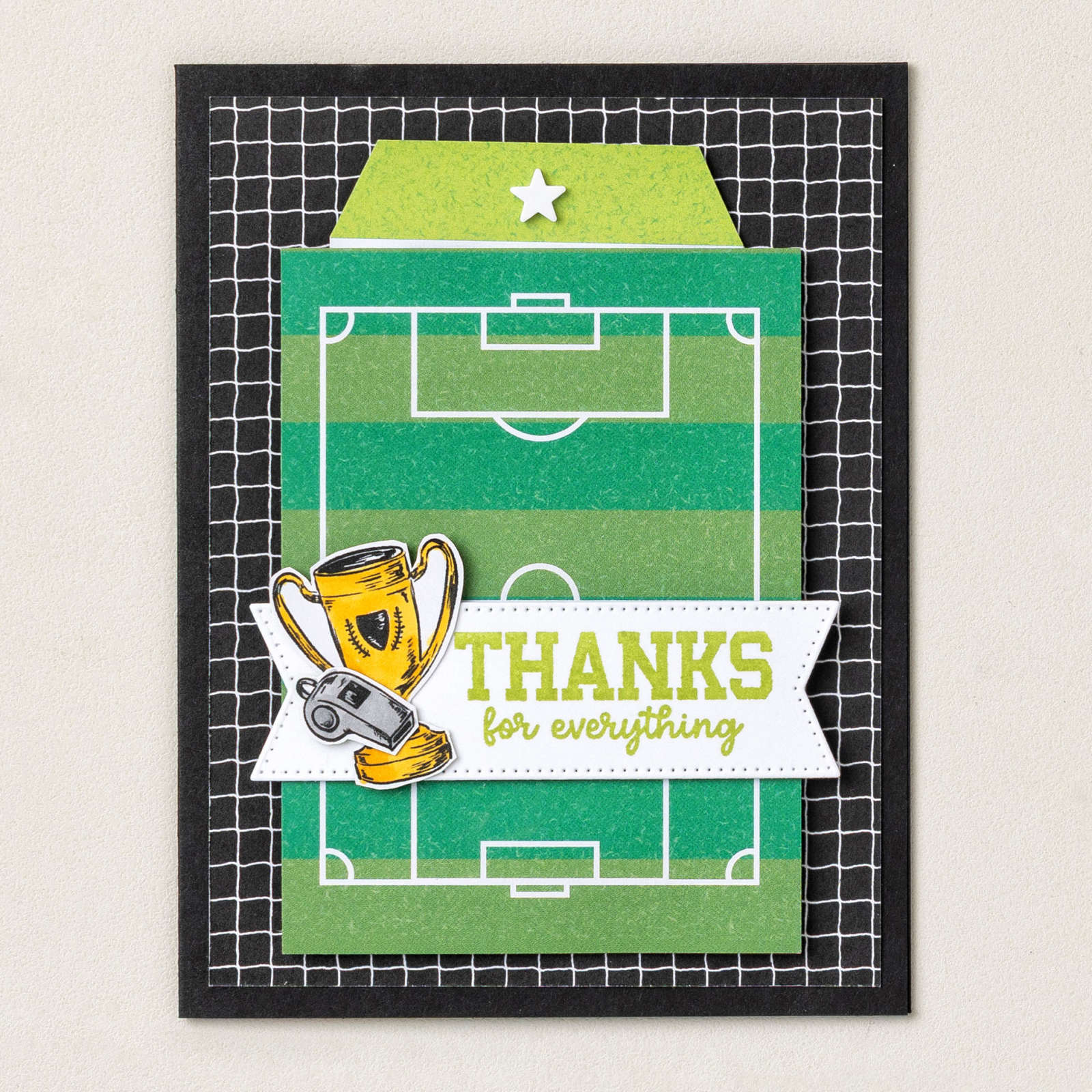 A WONDERFUL MATCH 12" X 12" (30.5 X 30.5 CM) DESIGNER SERIES PAPER