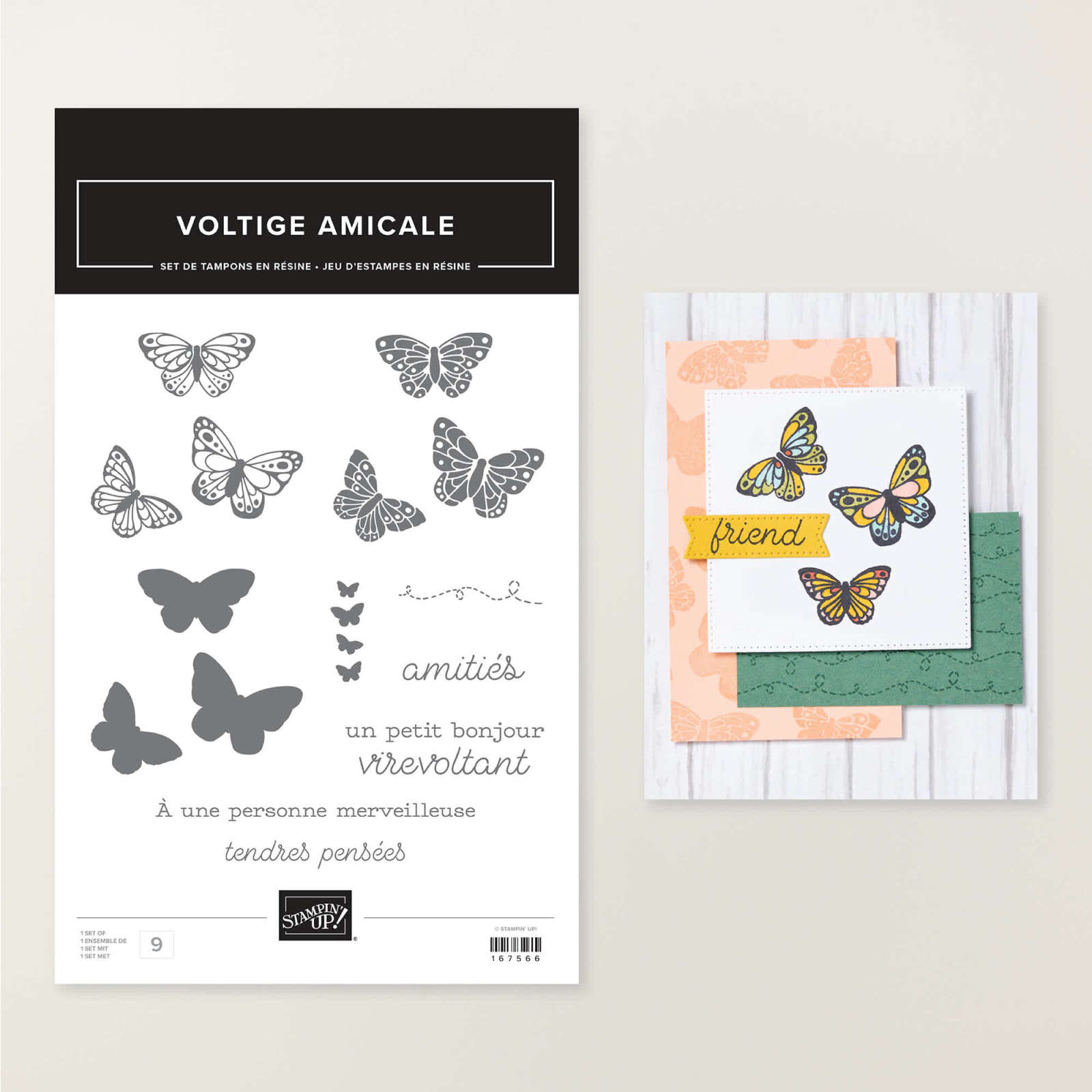 SET DE TAMPONS EN RÉSINE VOLTIGE AMICALE (FRANÇAIS)