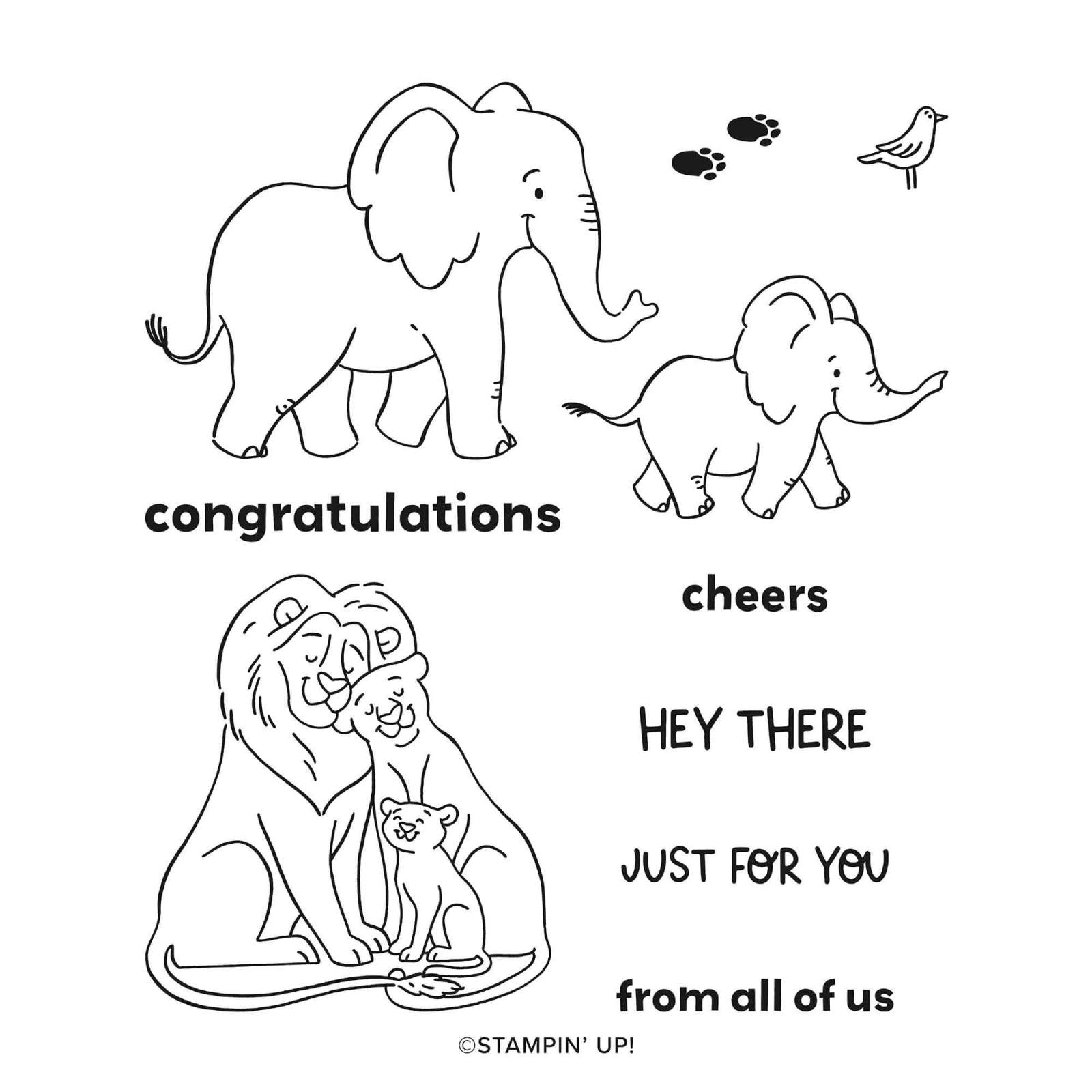 SAFARI SMILES BUNDLE (ENGLISH)