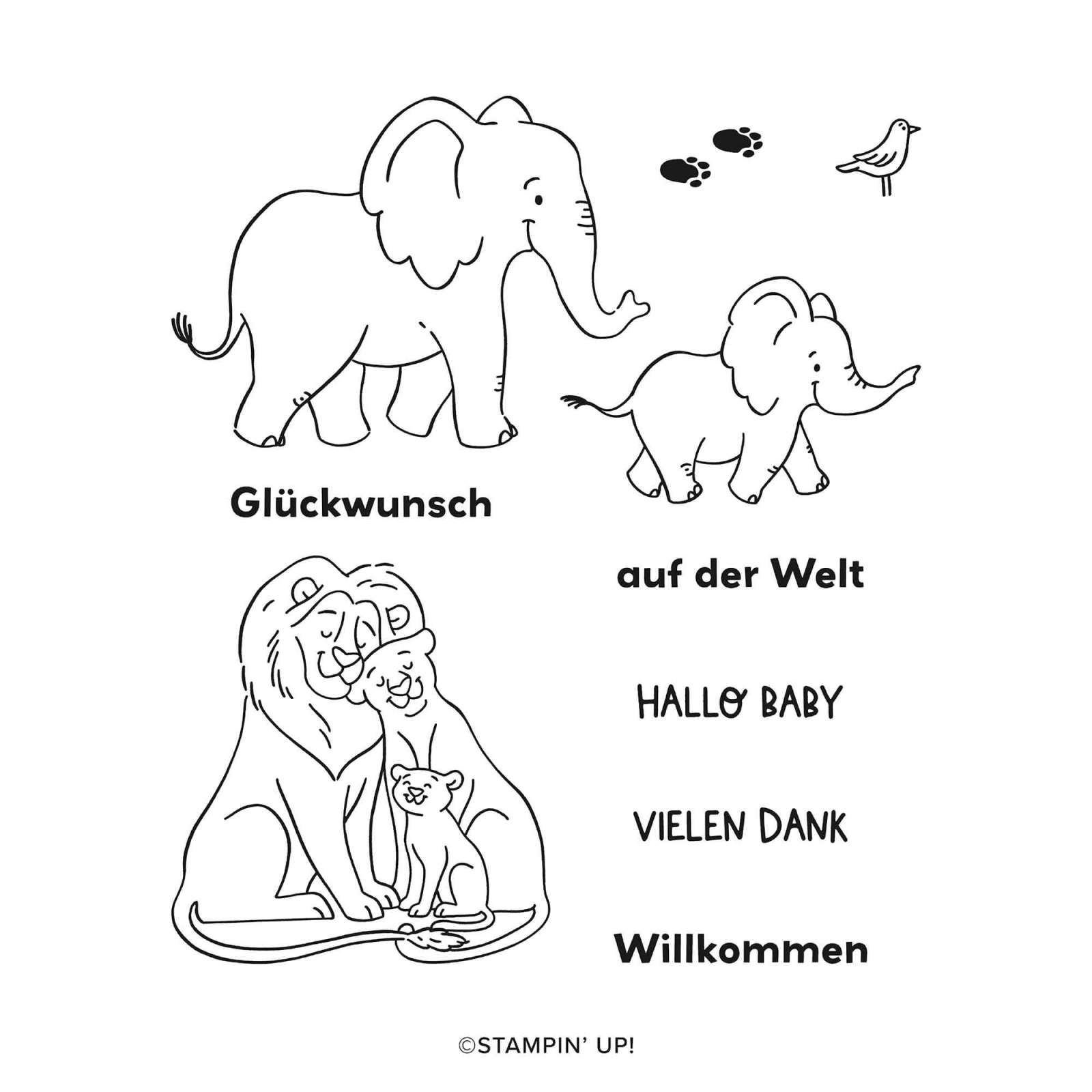 PRODUKTPAKET AUF SAFARI (DEUTSCH)