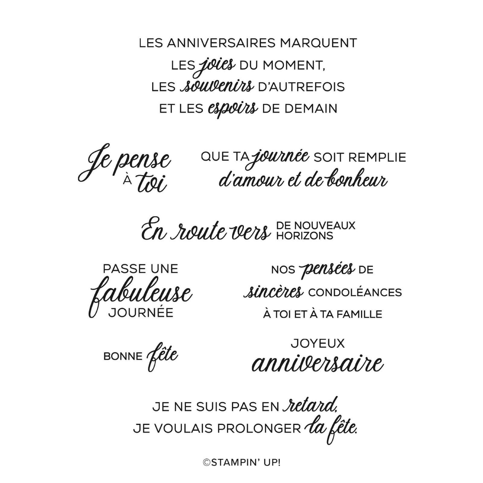 SET DE TAMPONS EN RÉSINE PHRASES ET CADRES (FRANÇAIS)