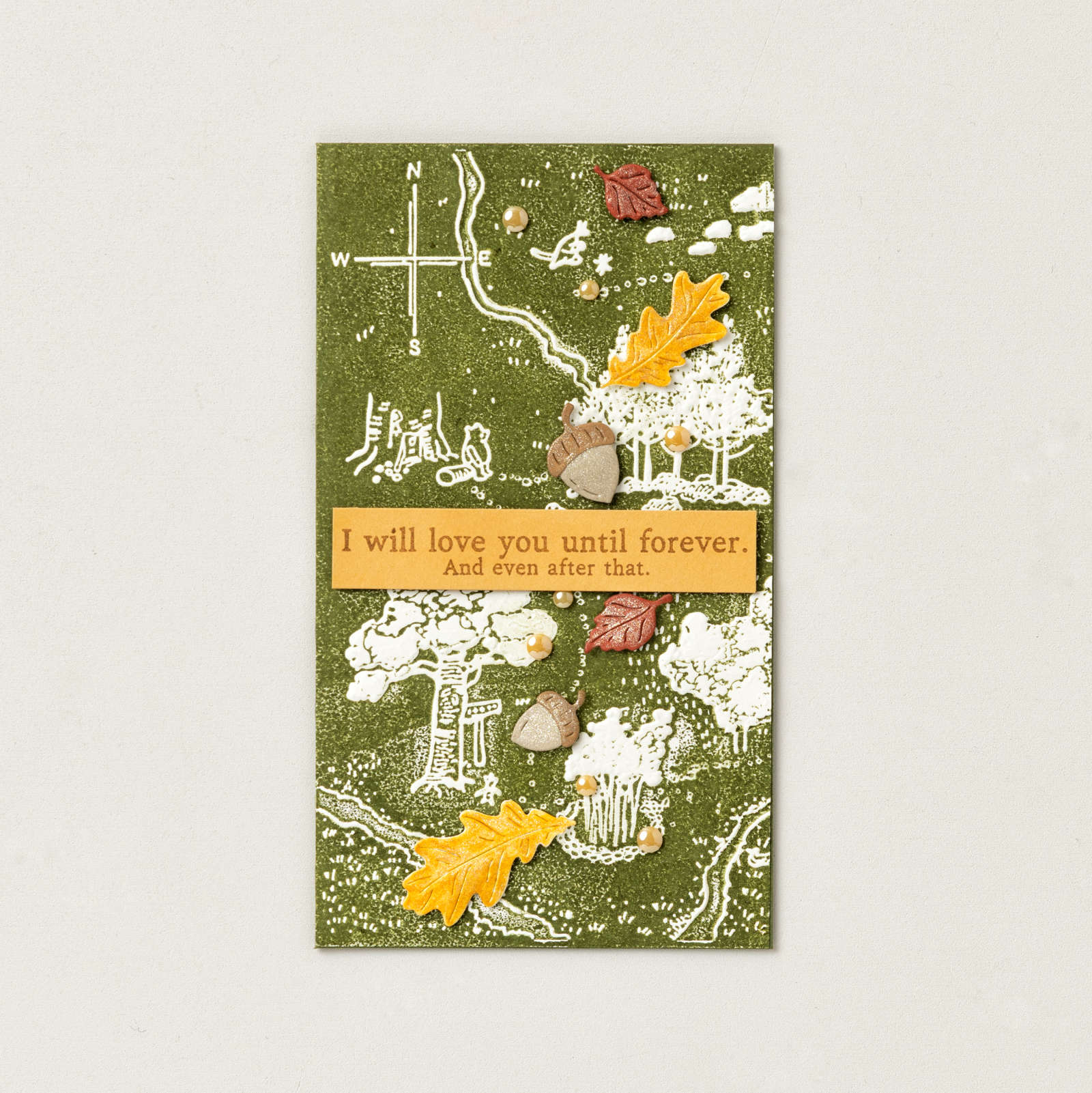 HUNDRED ACRE WOODS 3D EMBOSSING FOLDER