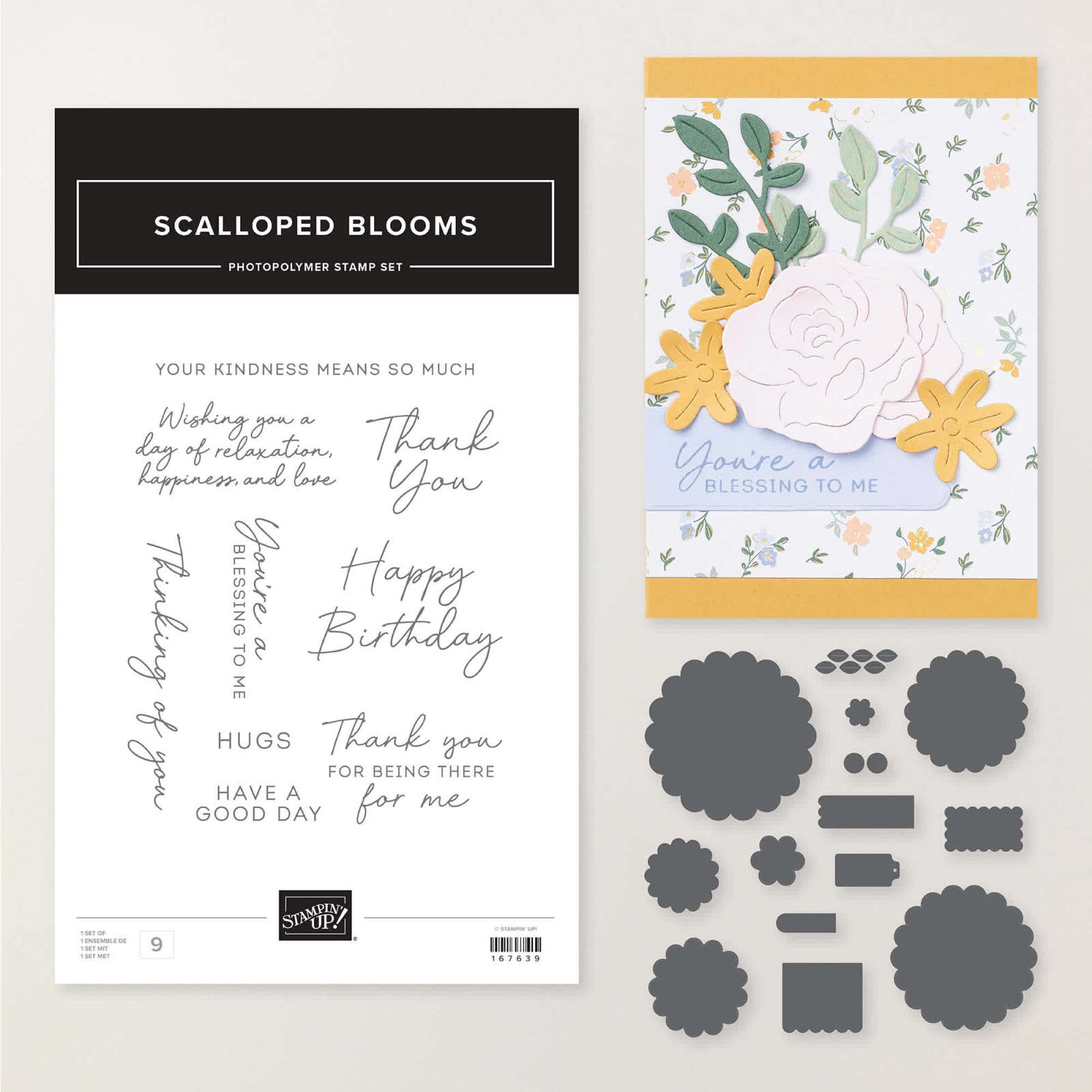 SCALLOPED BLOOMS BUNDLE (ENGLISH)