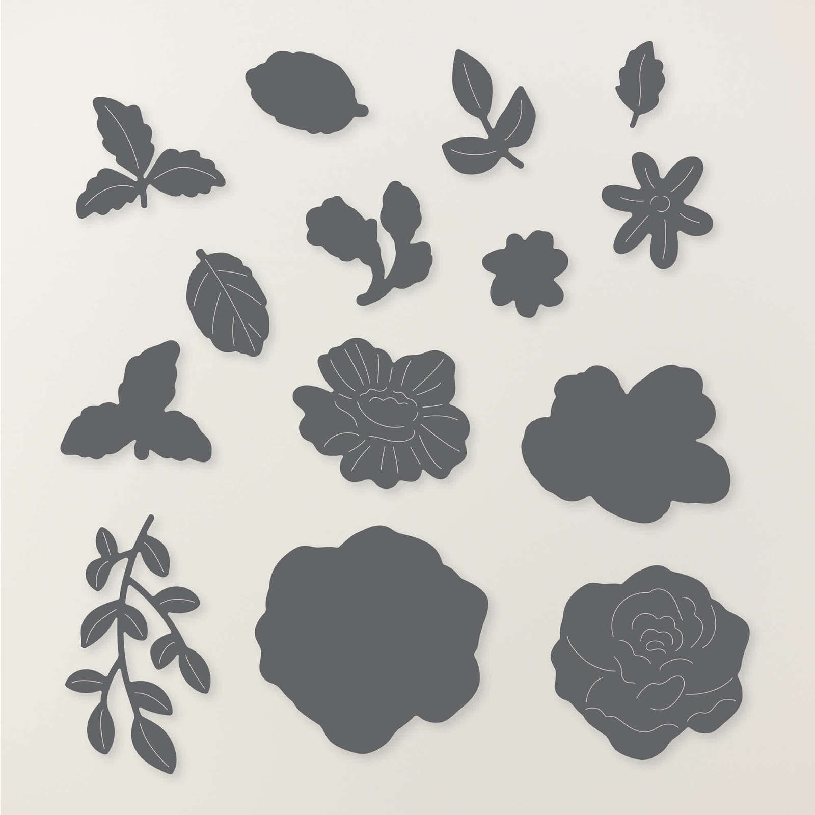 BLOOM BOUTIQUE SUITE COLLECTION (ENGLISH)