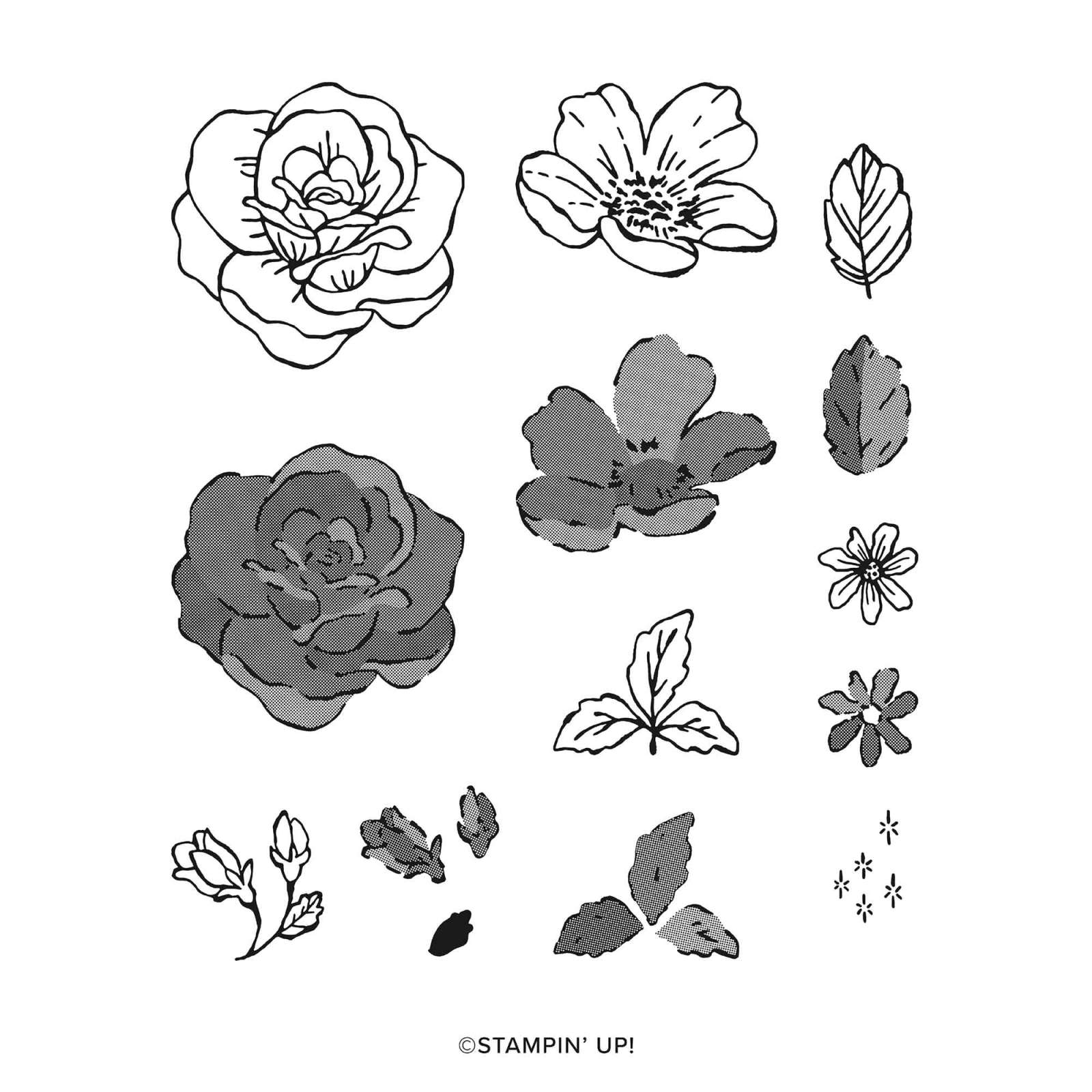 ASSORTIMENT DE COLLECTION ÉCHOPPE DE FLEURS (FRANÇAIS)