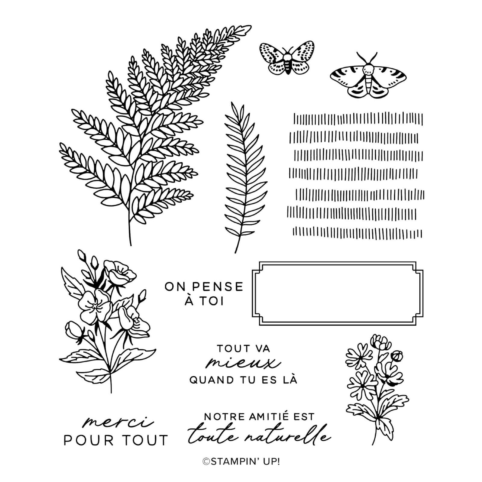 SET DE TAMPONS EN RÉSINE FLORE ET FOUGÈRE (FRANÇAIS)