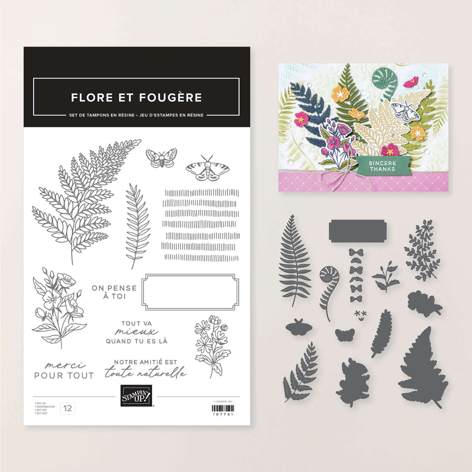 LOT FLORE ET FOUGÈRE (FRANÇAIS)